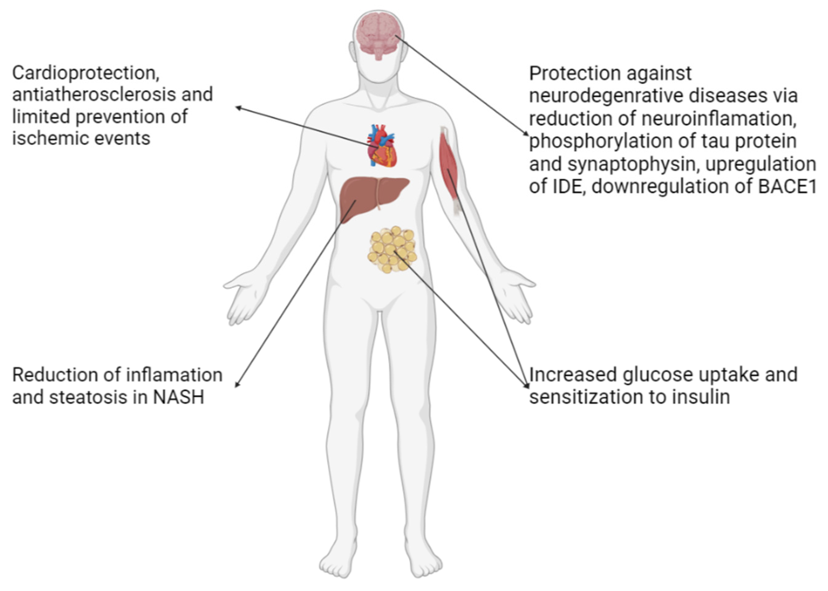 Preprints 141893 g002