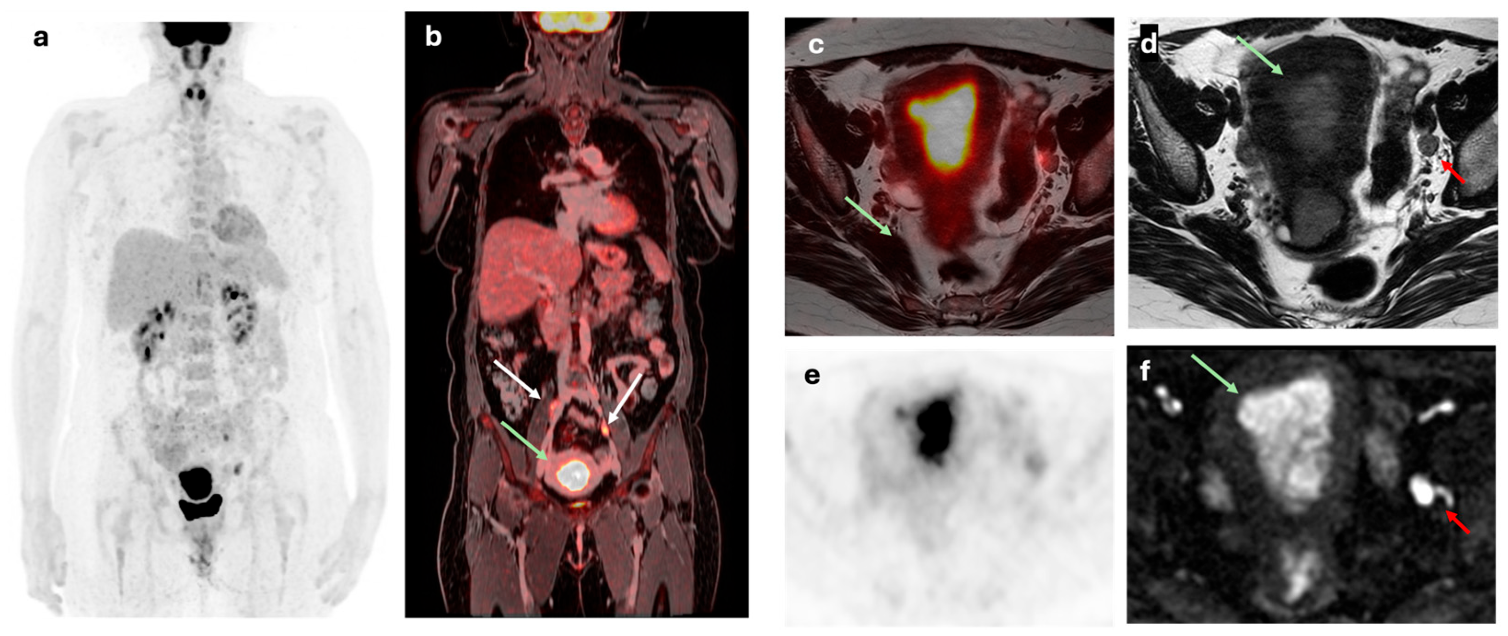 Preprints 164229 g002