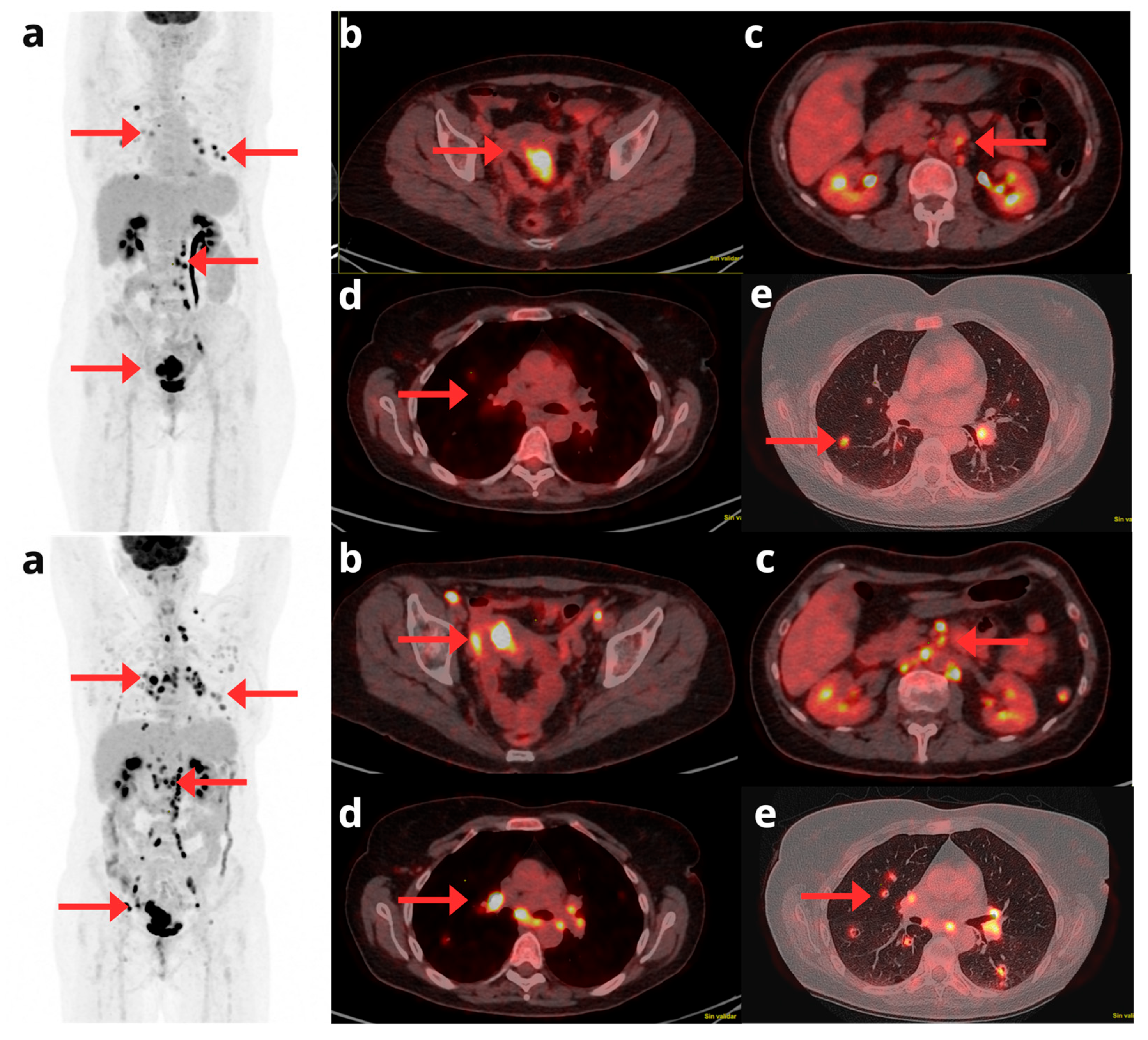 Preprints 164229 g004