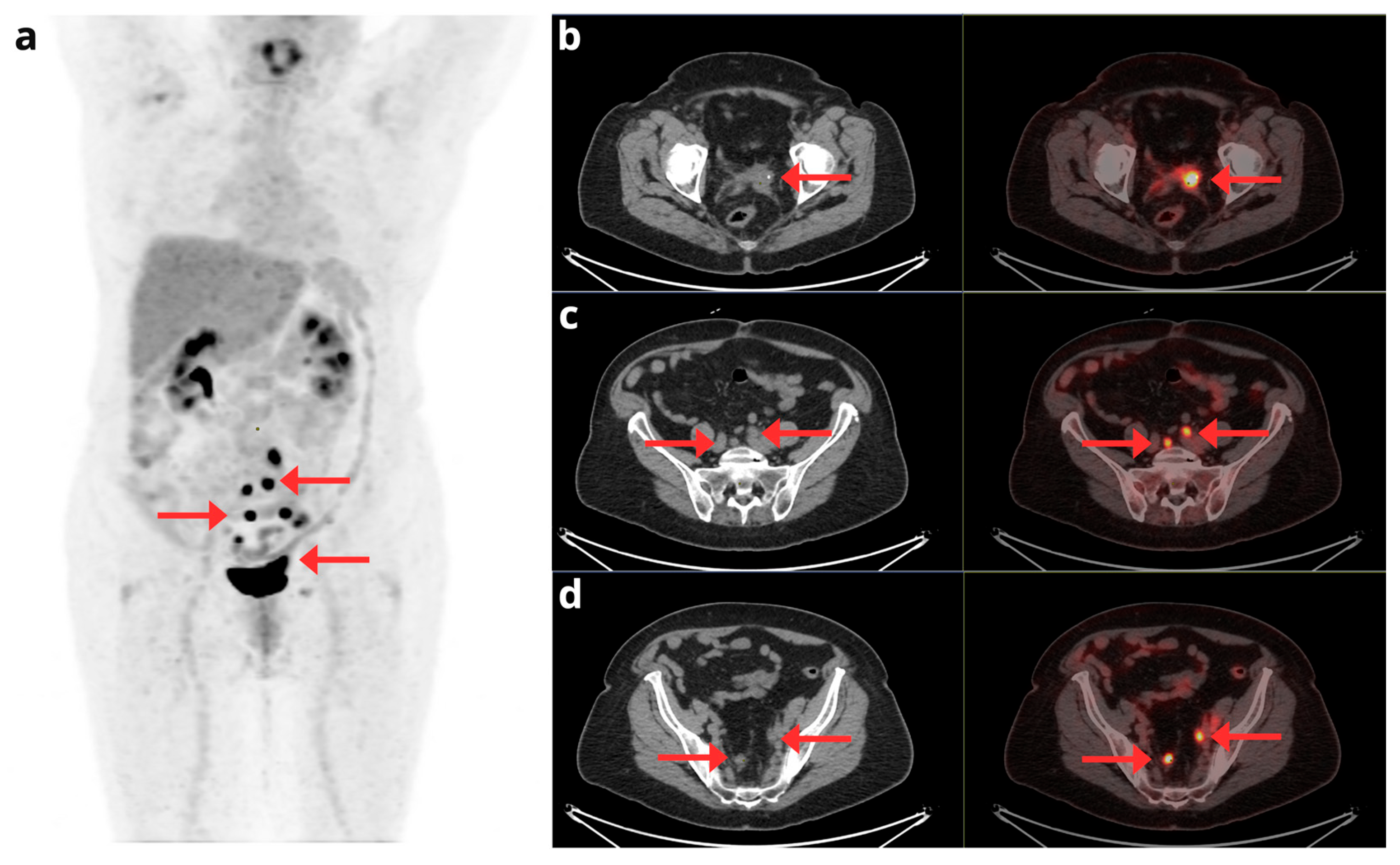 Preprints 164229 g005
