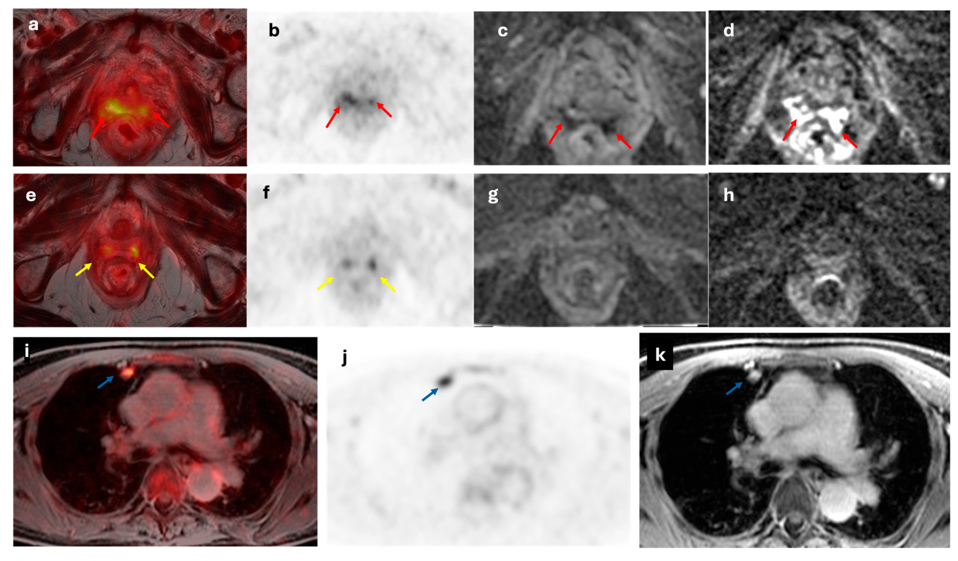 Preprints 164229 g006