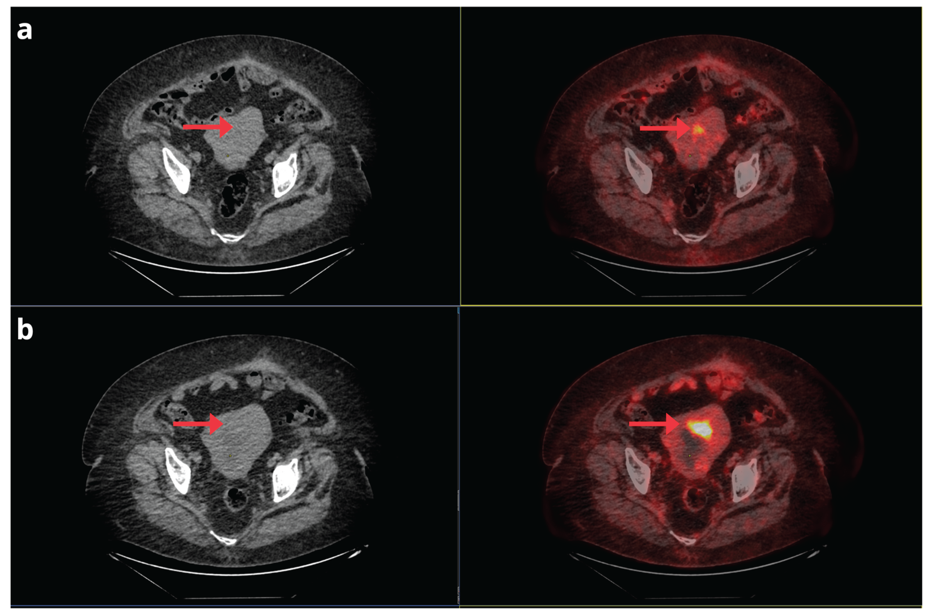 Preprints 164229 g008