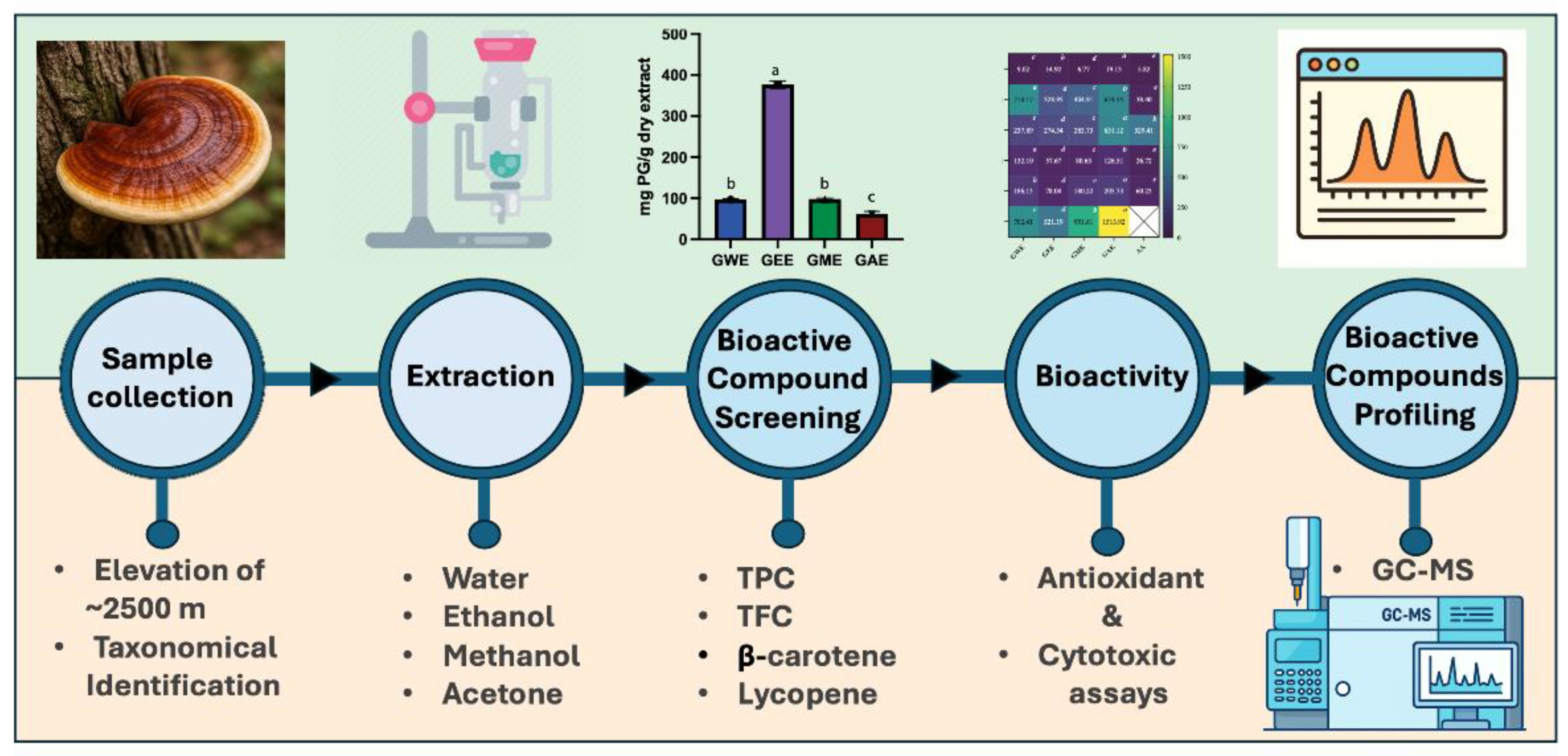 Preprints 166874 g001