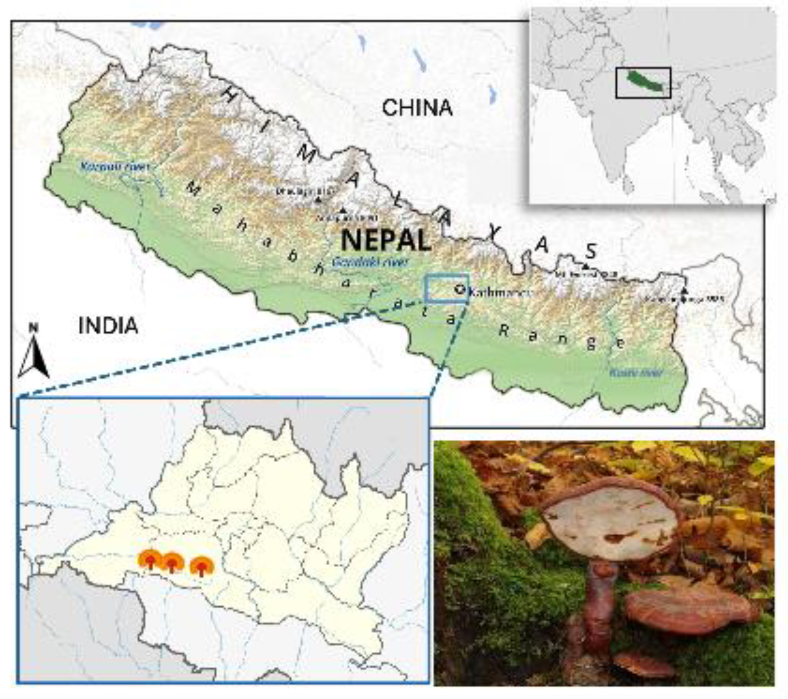 Preprints 166874 g002