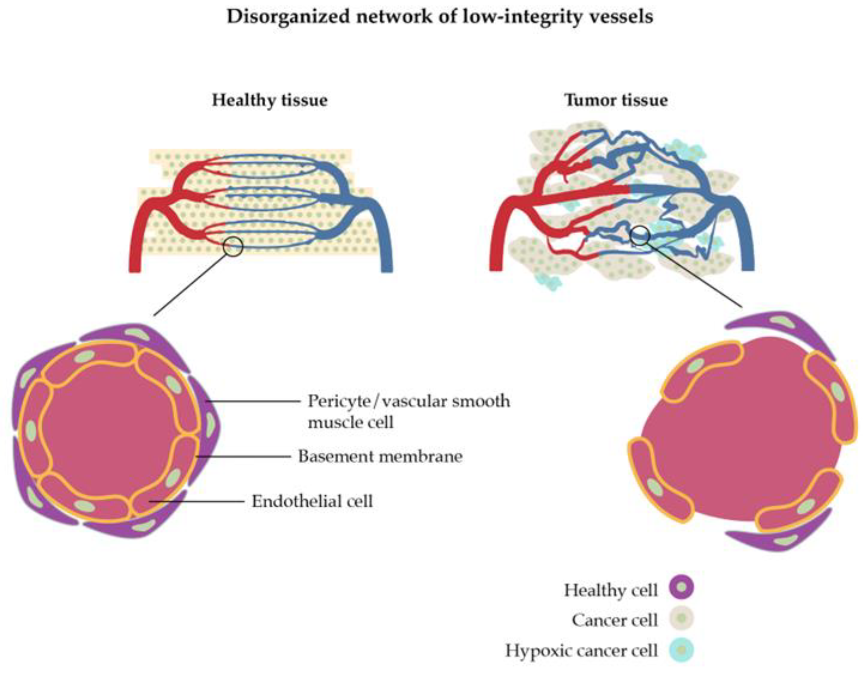 Preprints 86771 g002