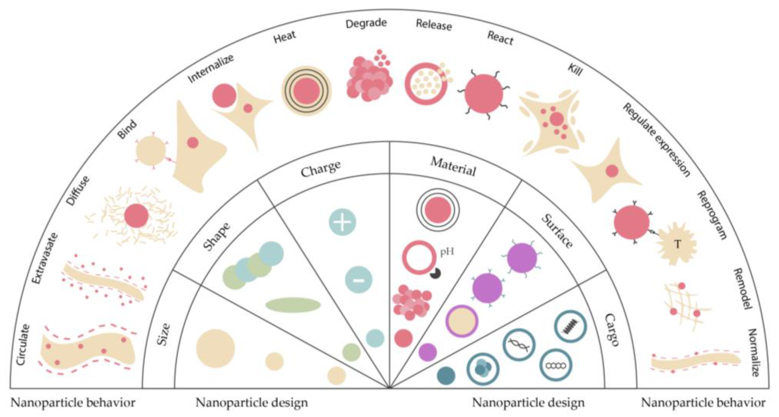 Preprints 86771 g003