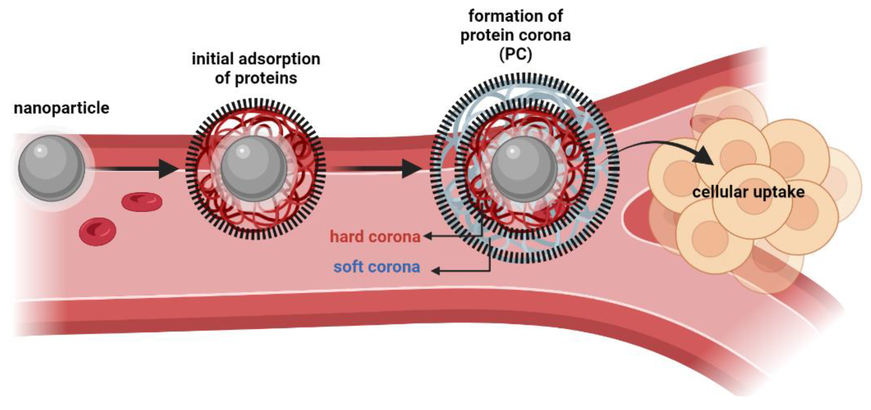 Preprints 86771 g005