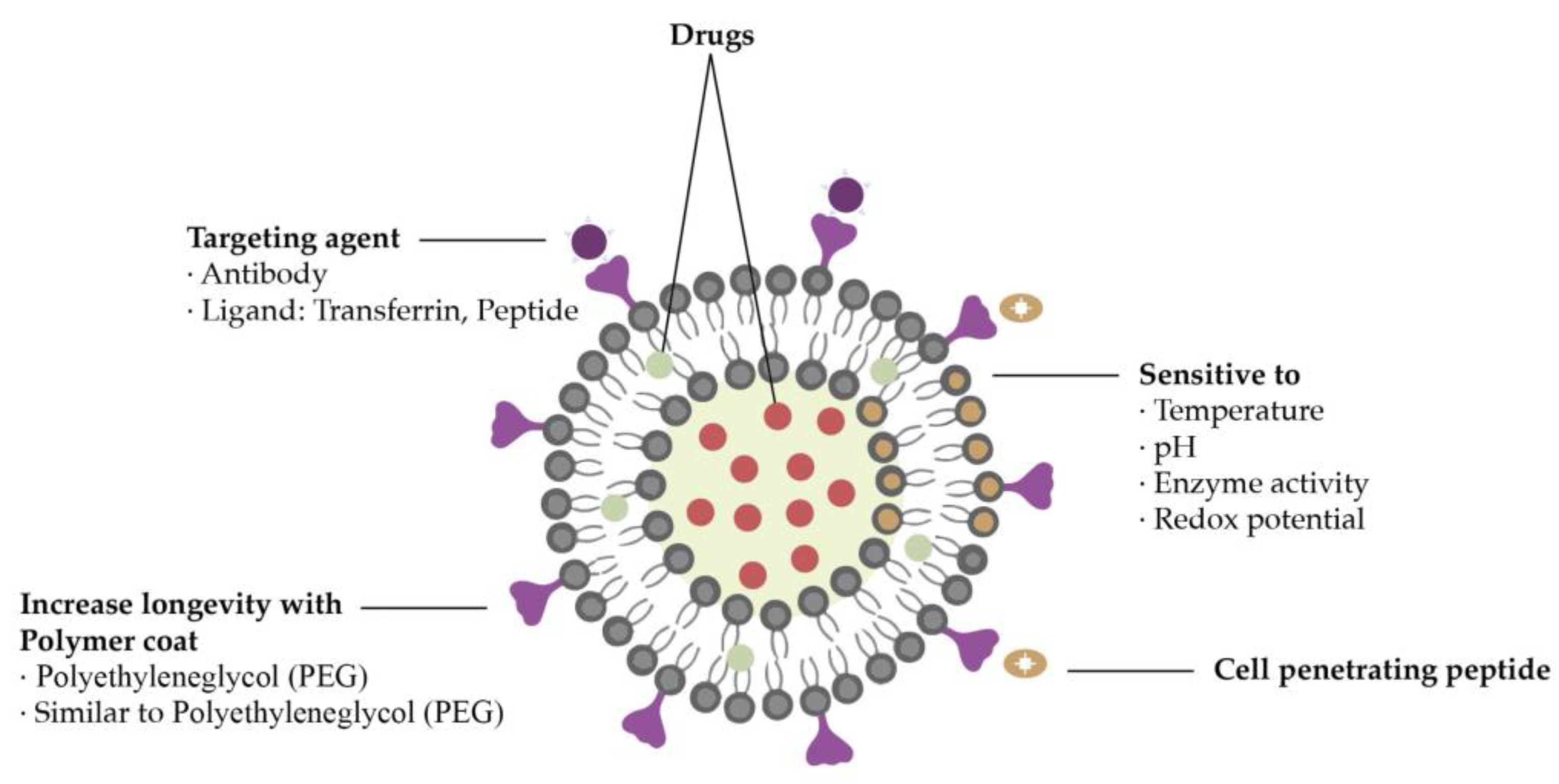 Preprints 86771 g007