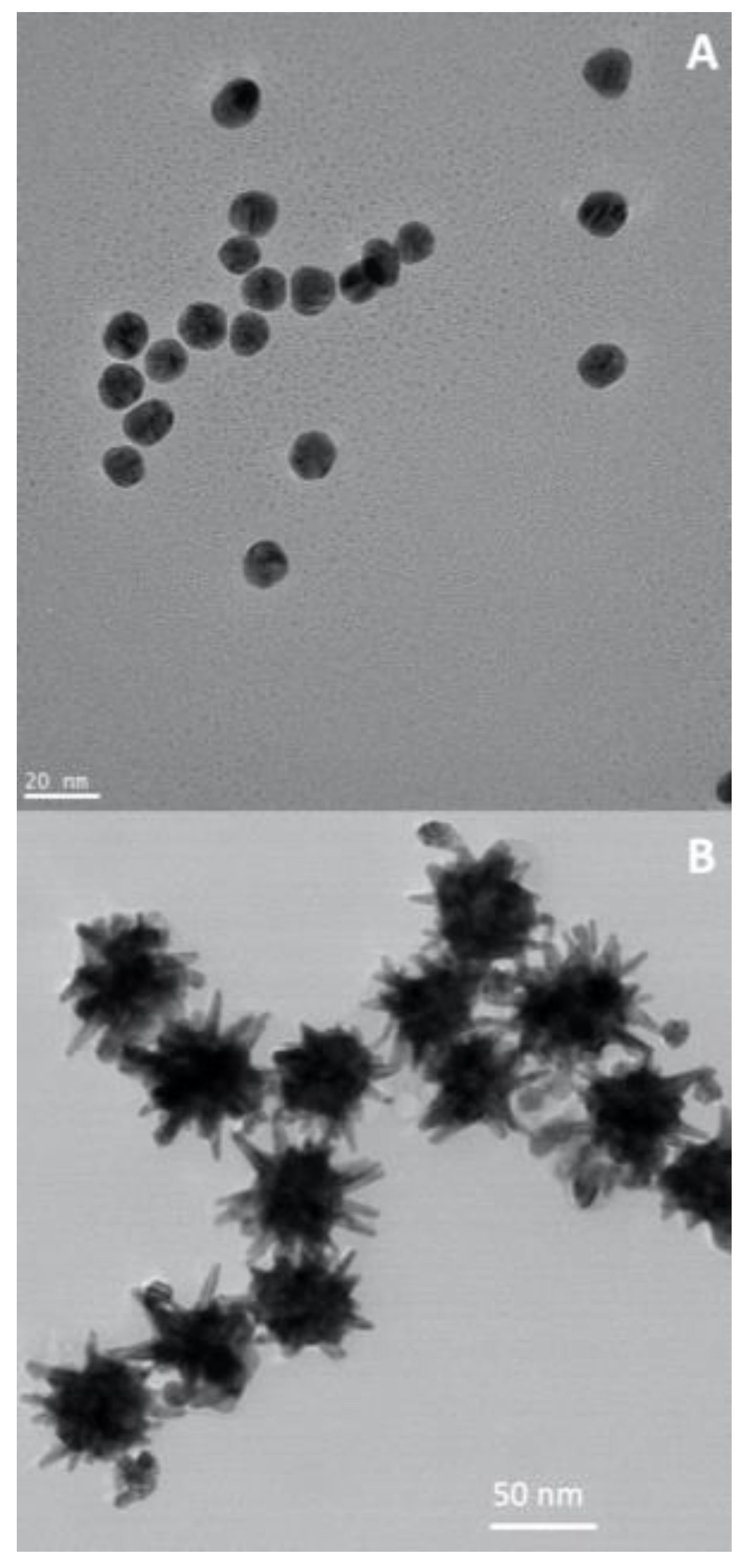 Preprints 86771 g008