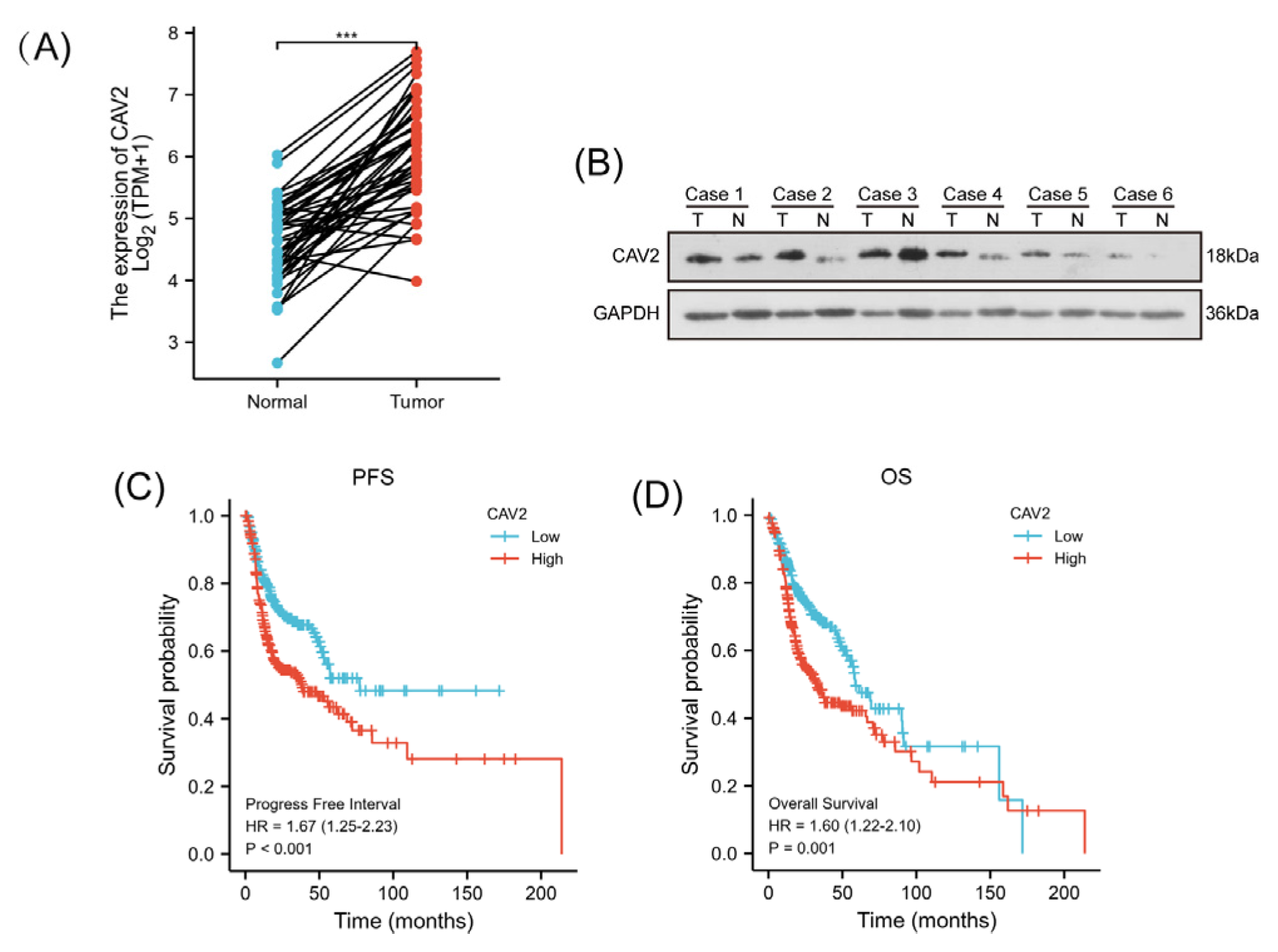 Preprints 201208 g001