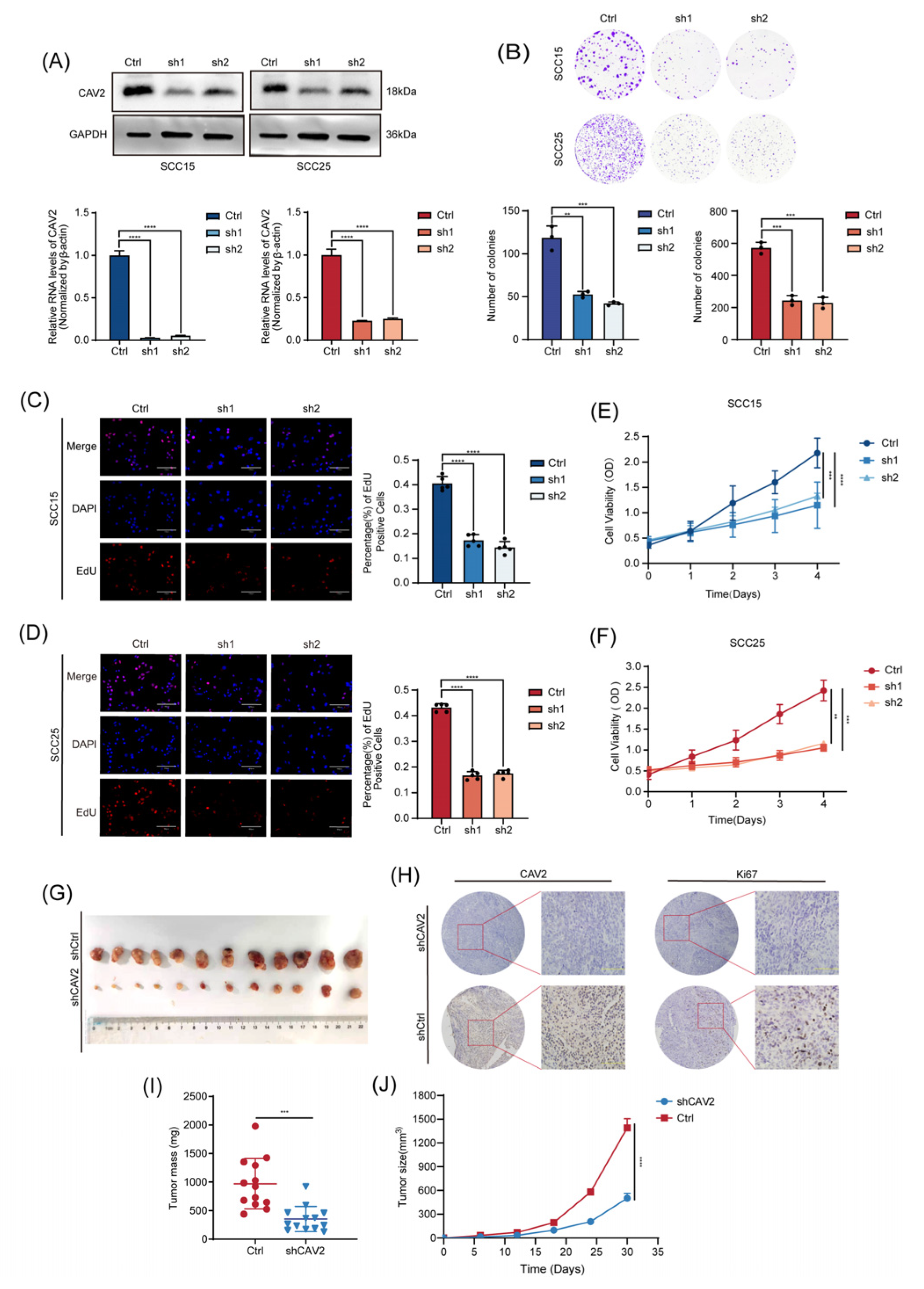 Preprints 201208 g002