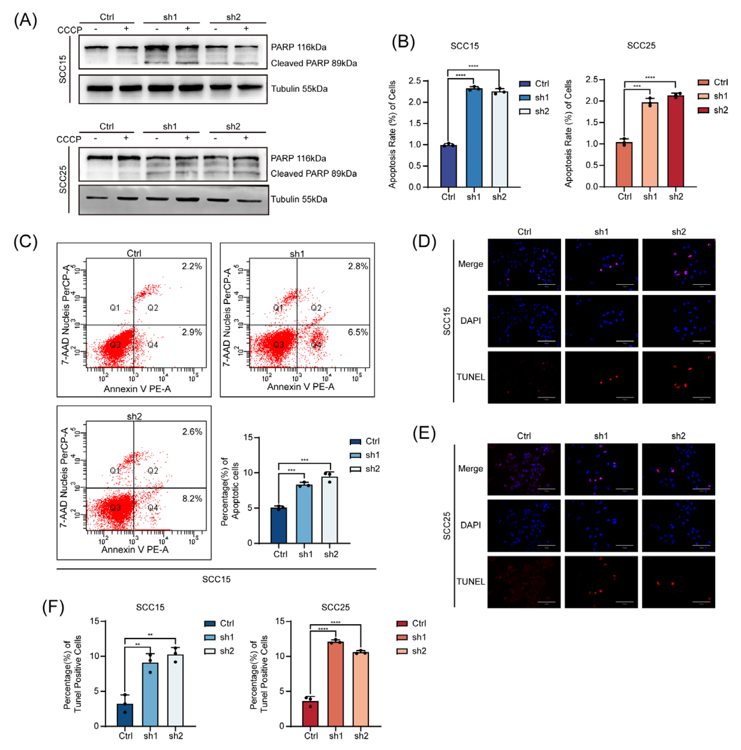 Preprints 201208 g003
