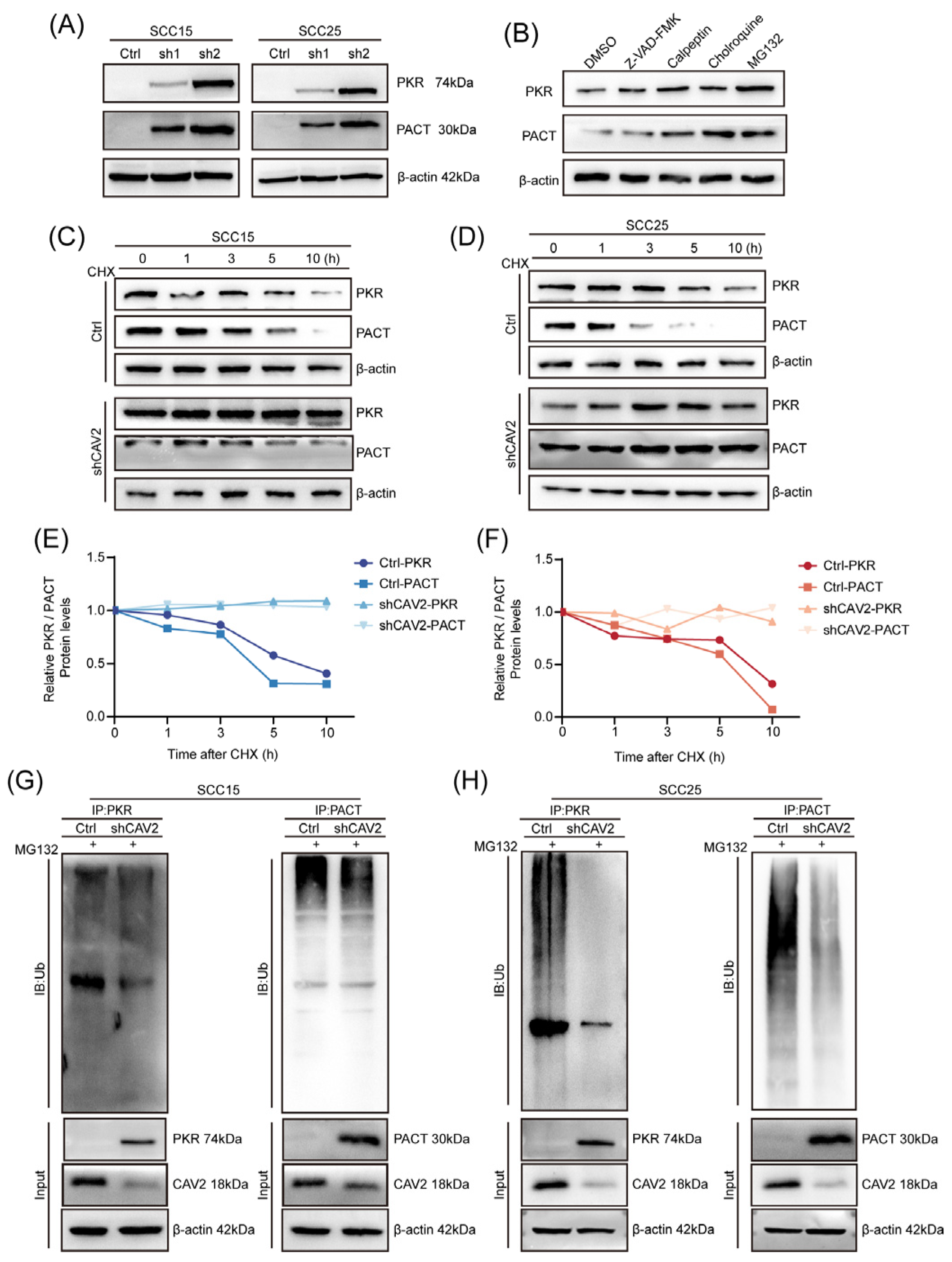 Preprints 201208 g005