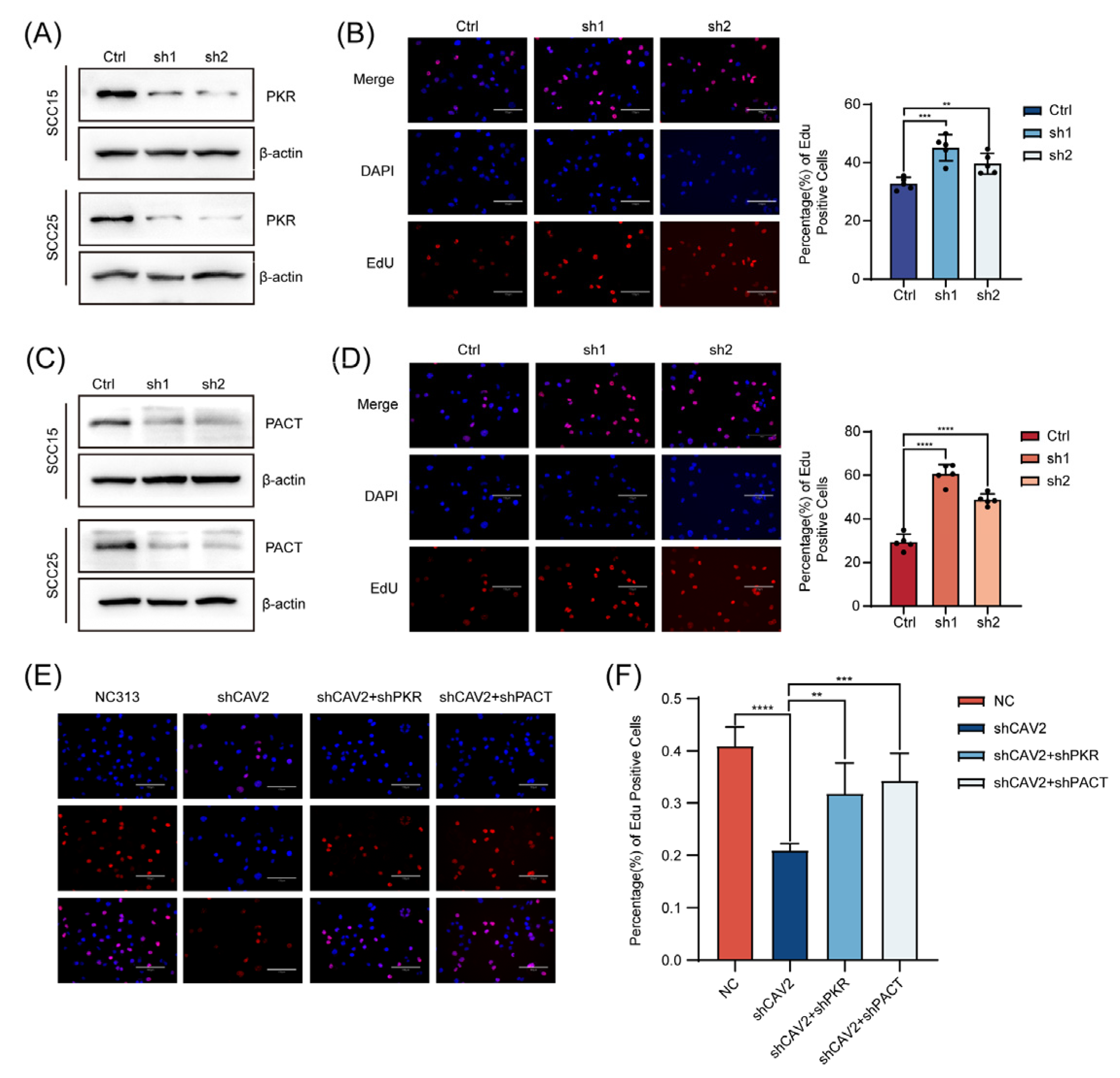 Preprints 201208 g006