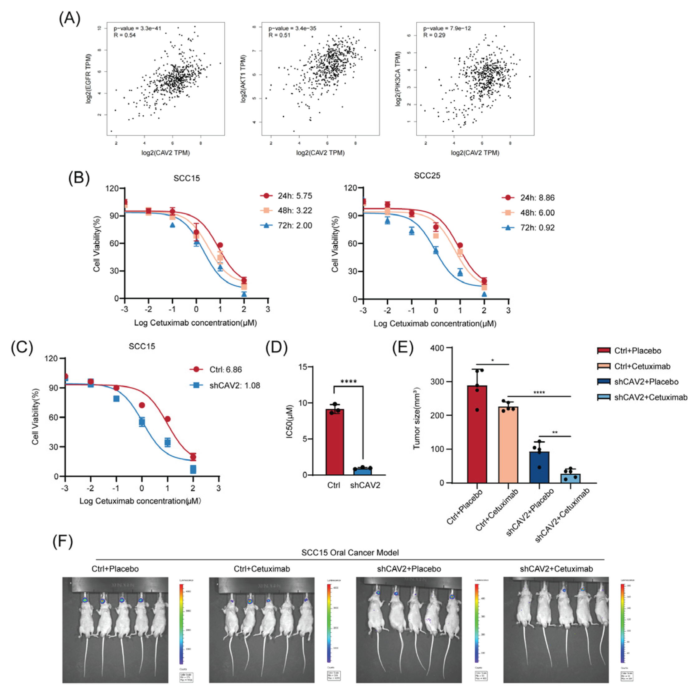 Preprints 201208 g007