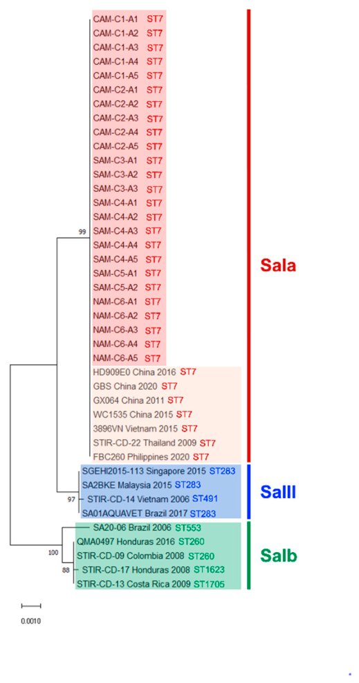 Preprints 210682 g002 Preprints 210682 g002
