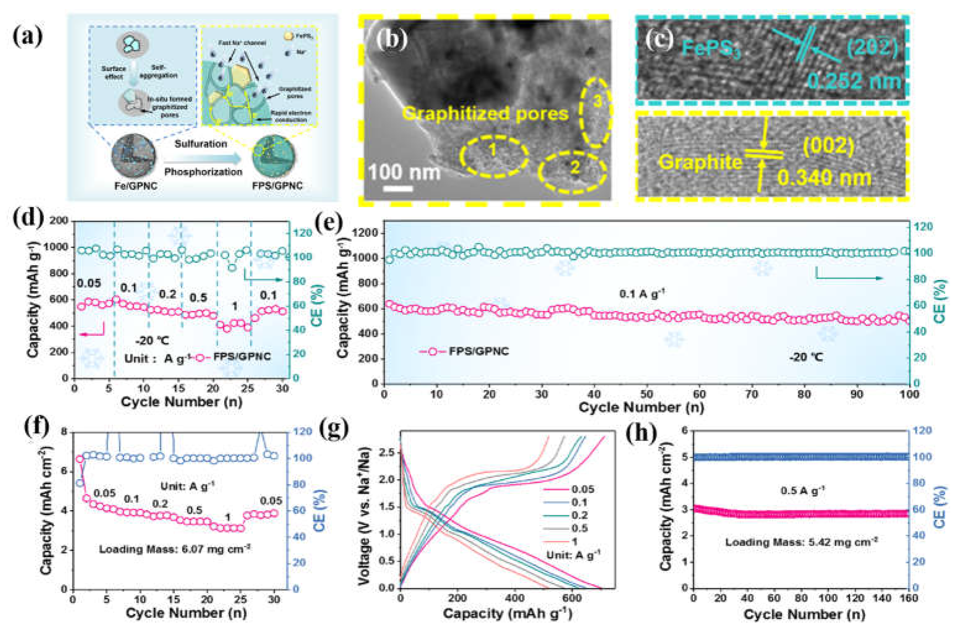 Preprints 68793 g006