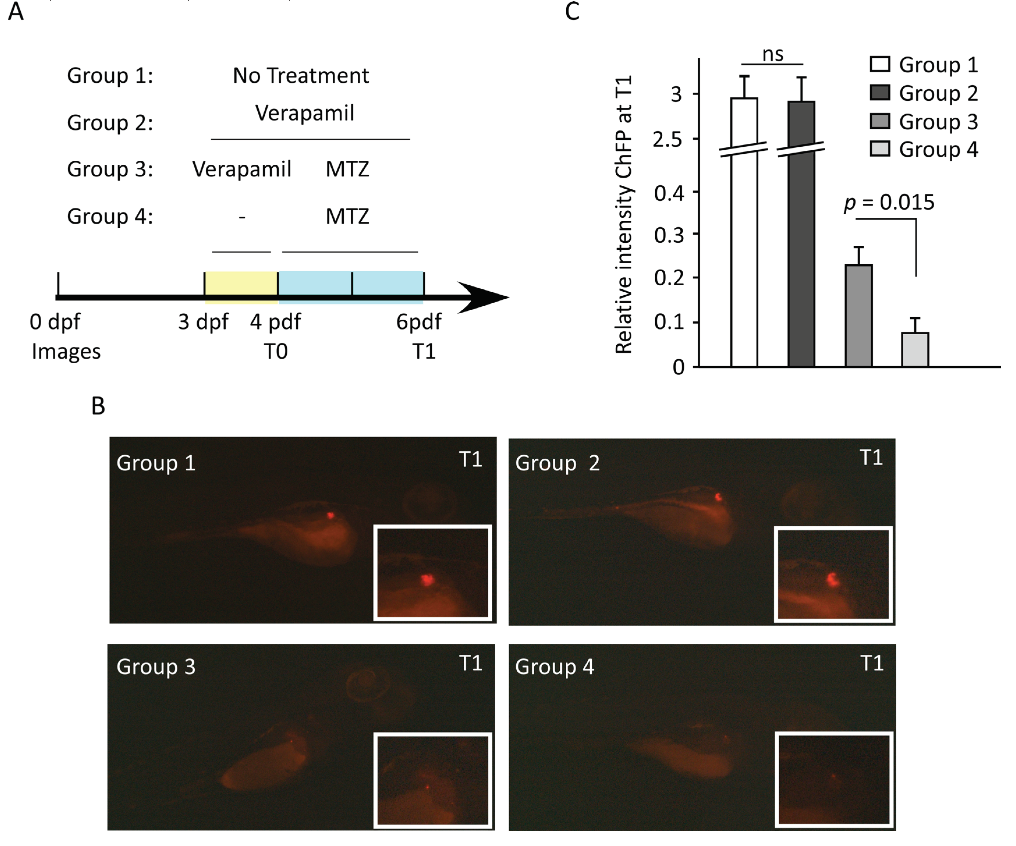 Preprints 102403 g006