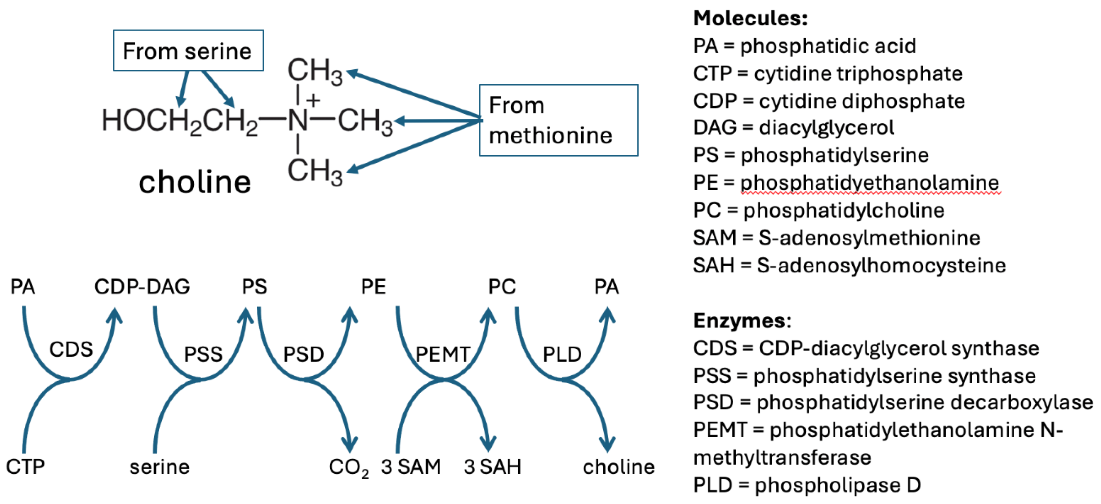 Preprints 174599 g003