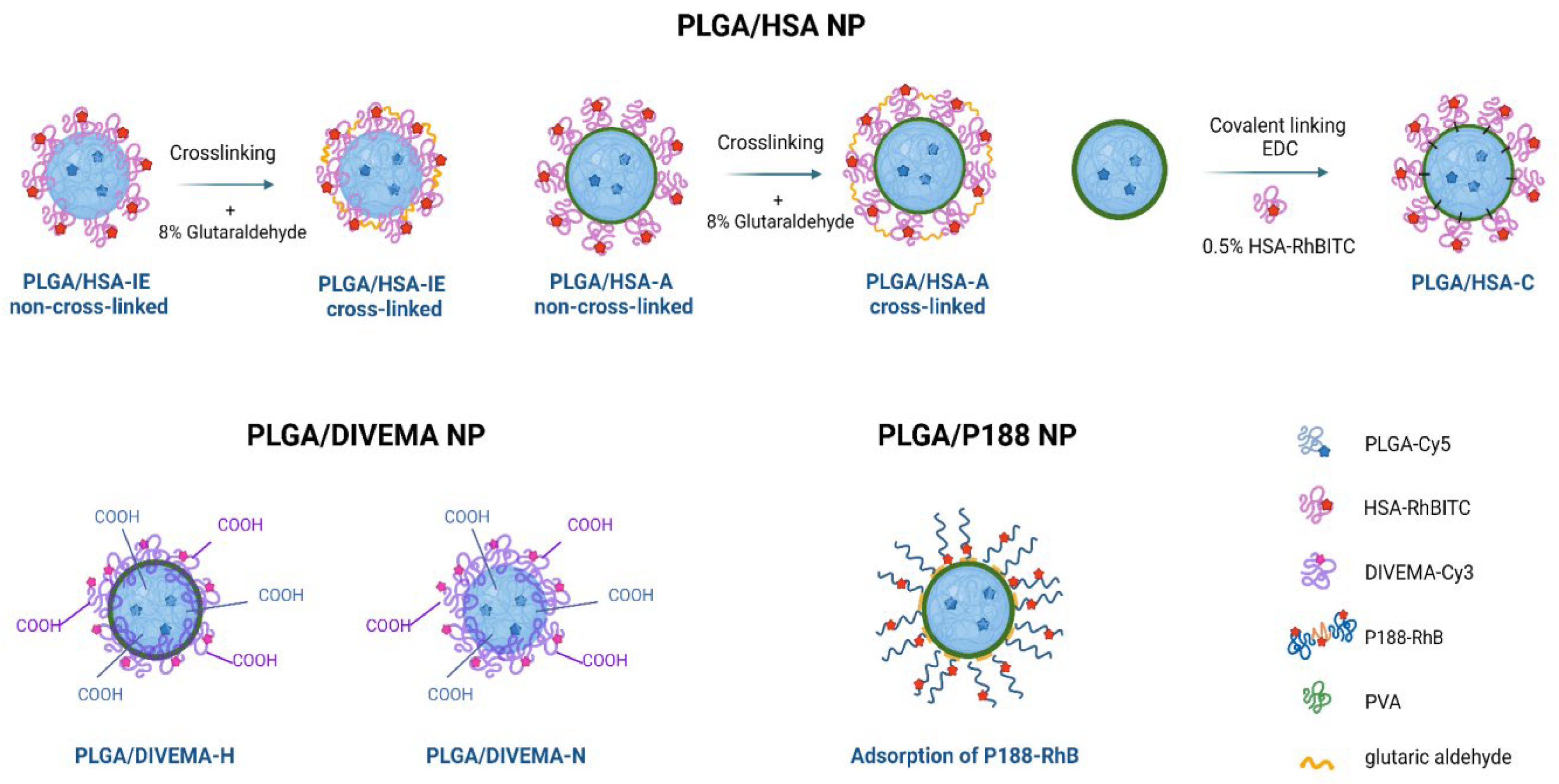 Preprints 141234 g002