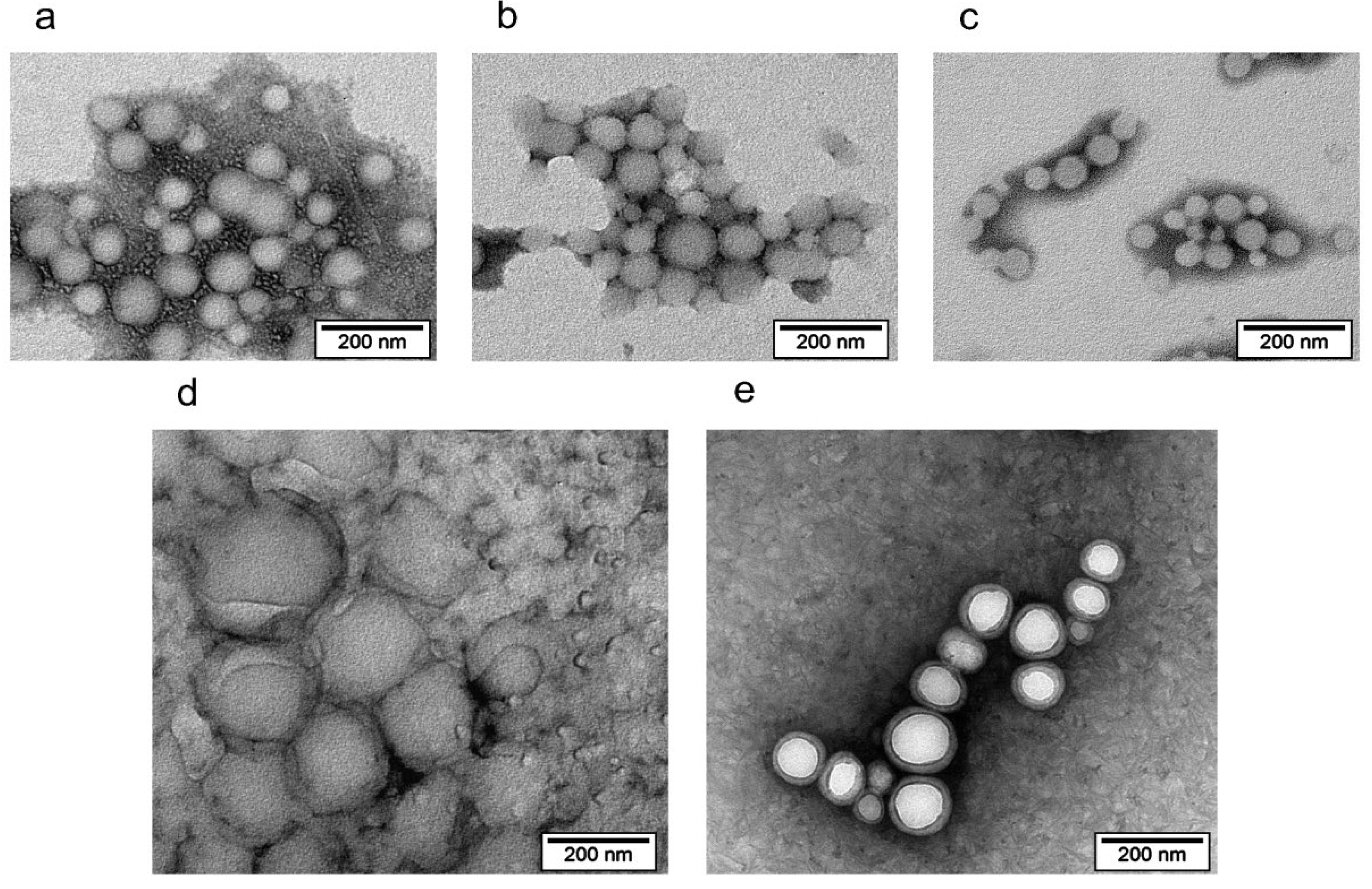Preprints 141234 g003