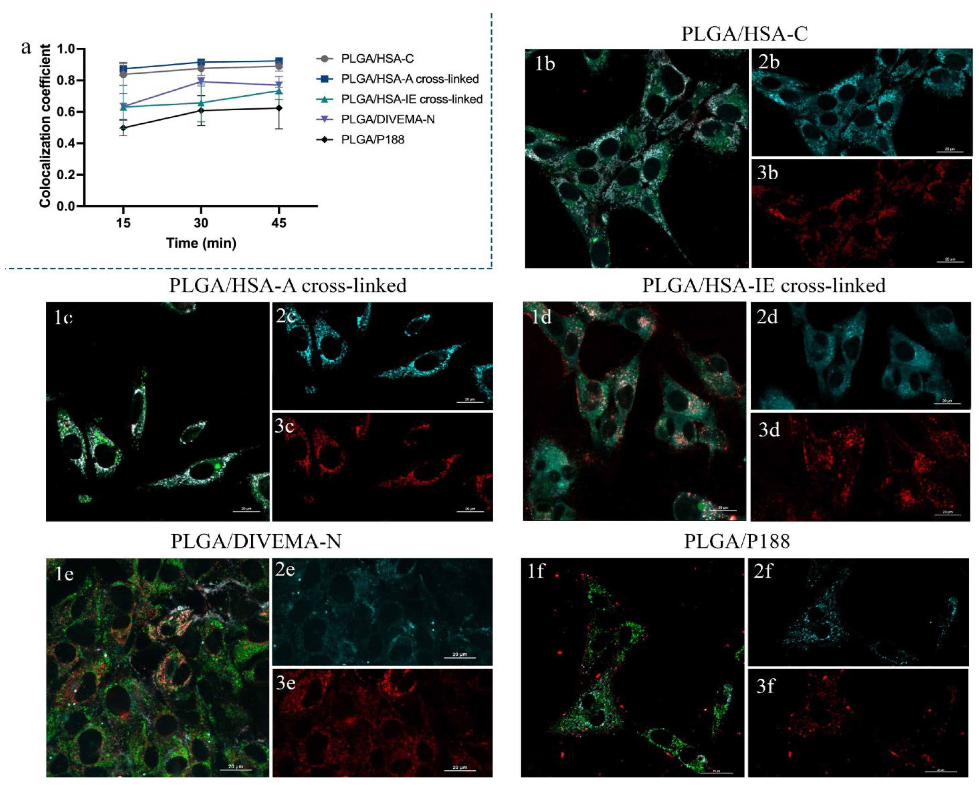 Preprints 141234 g007
