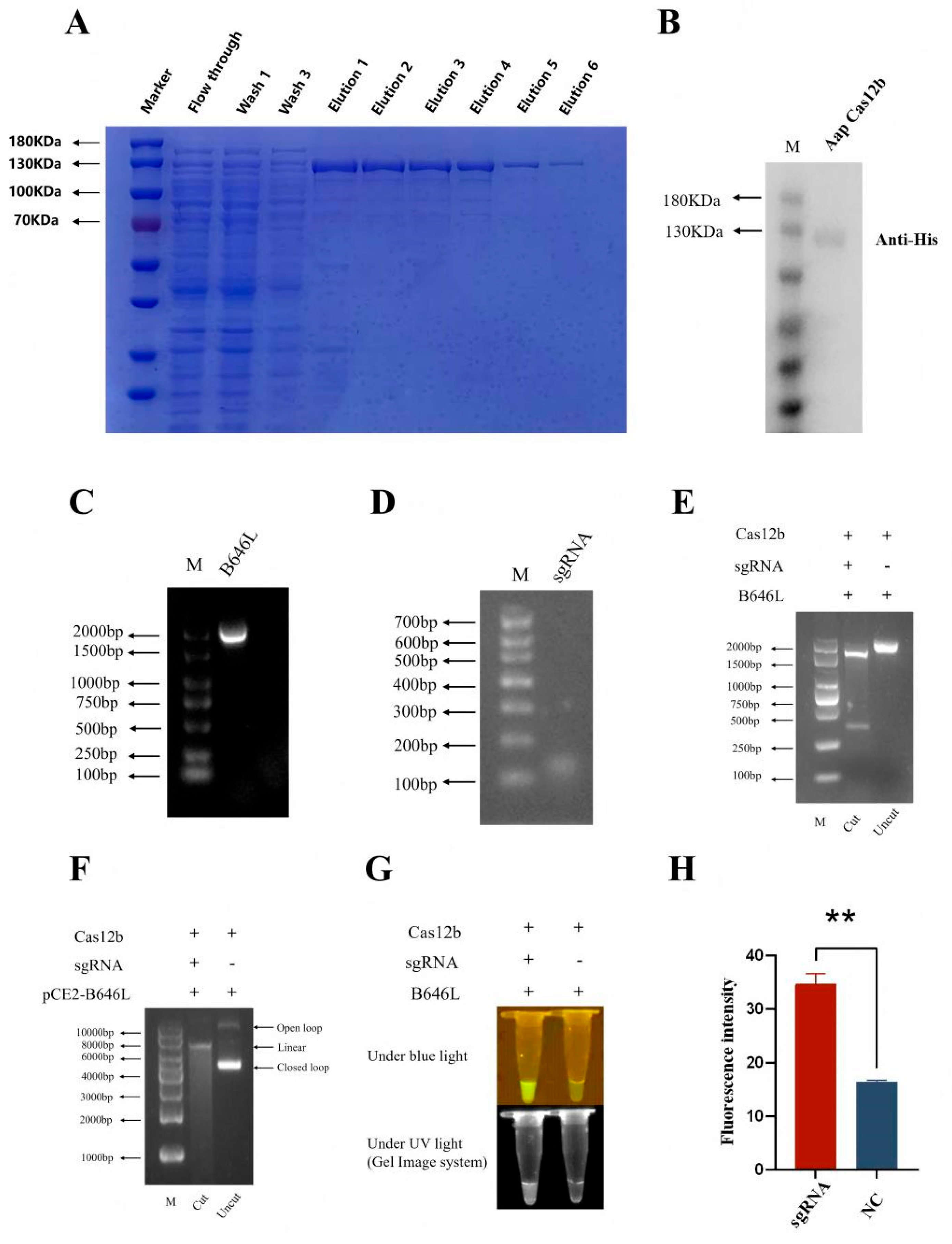 Preprints 178306 g001