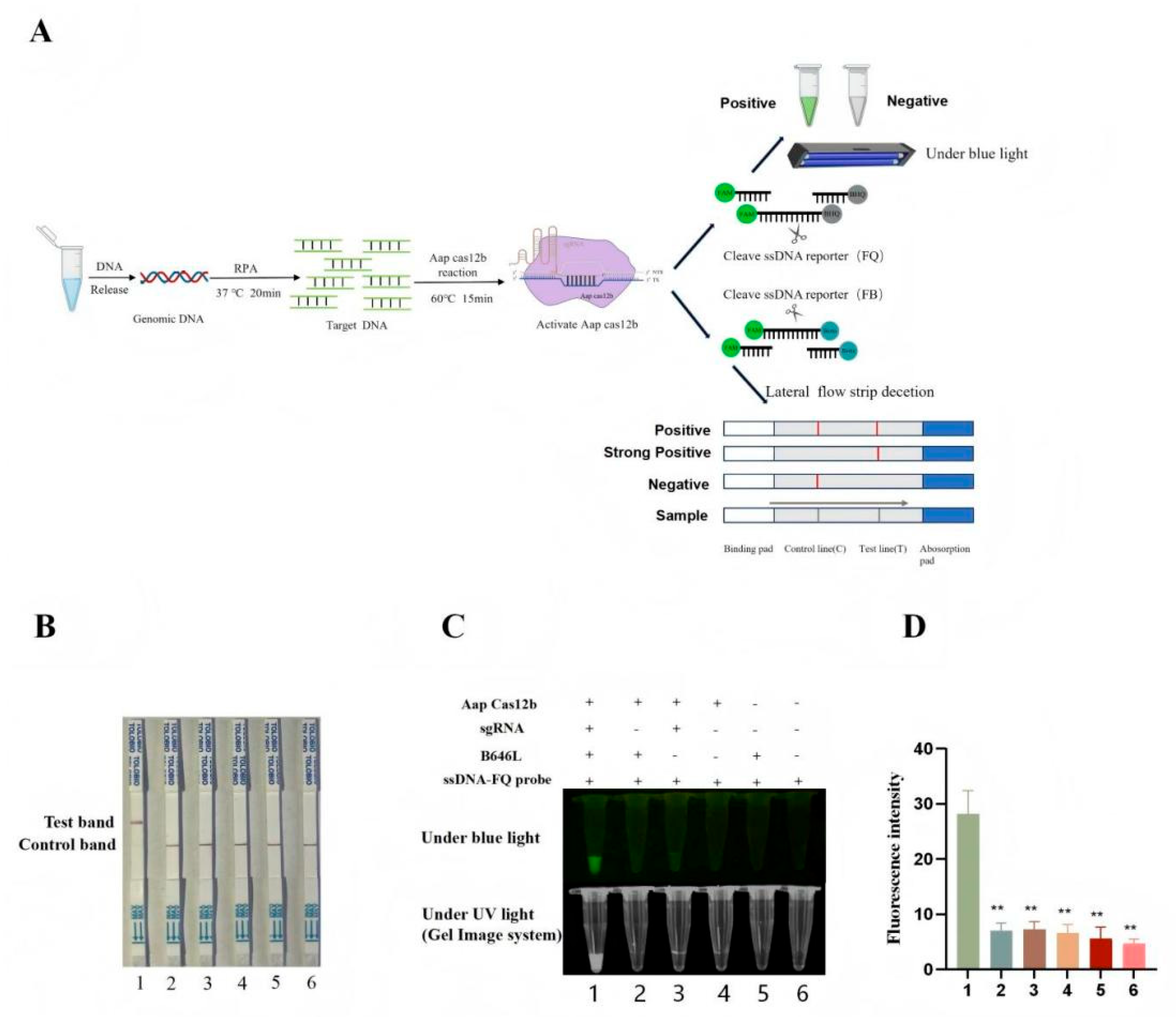 Preprints 178306 g003