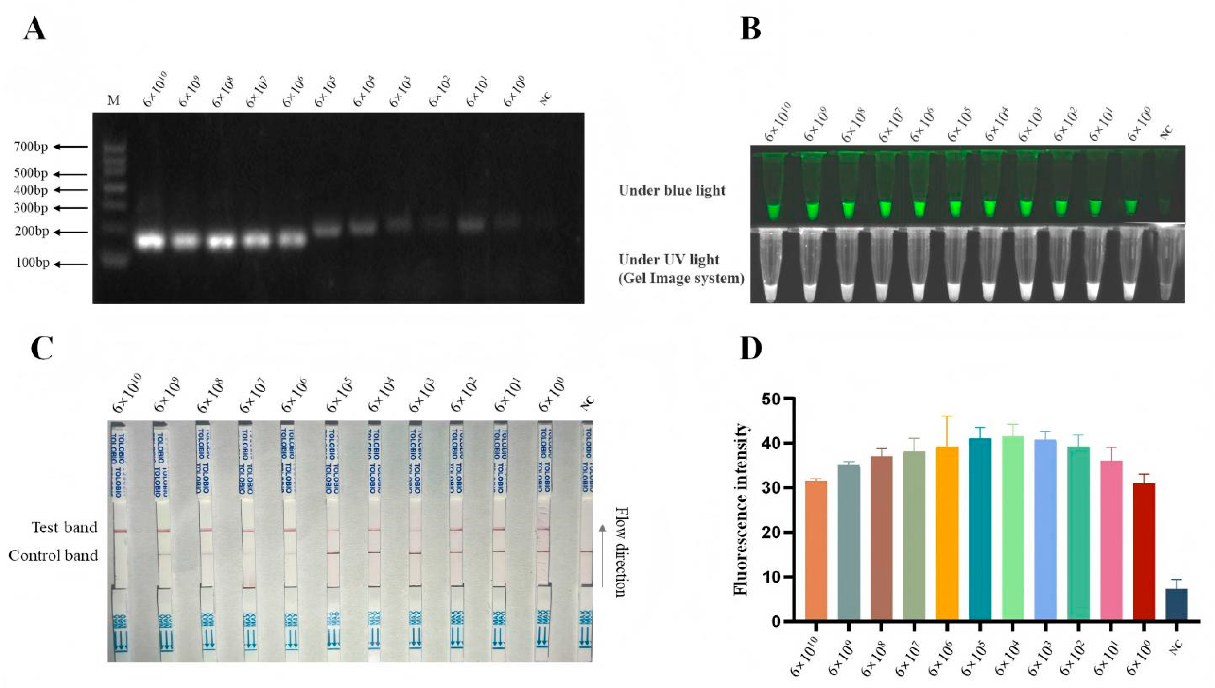 Preprints 178306 g004