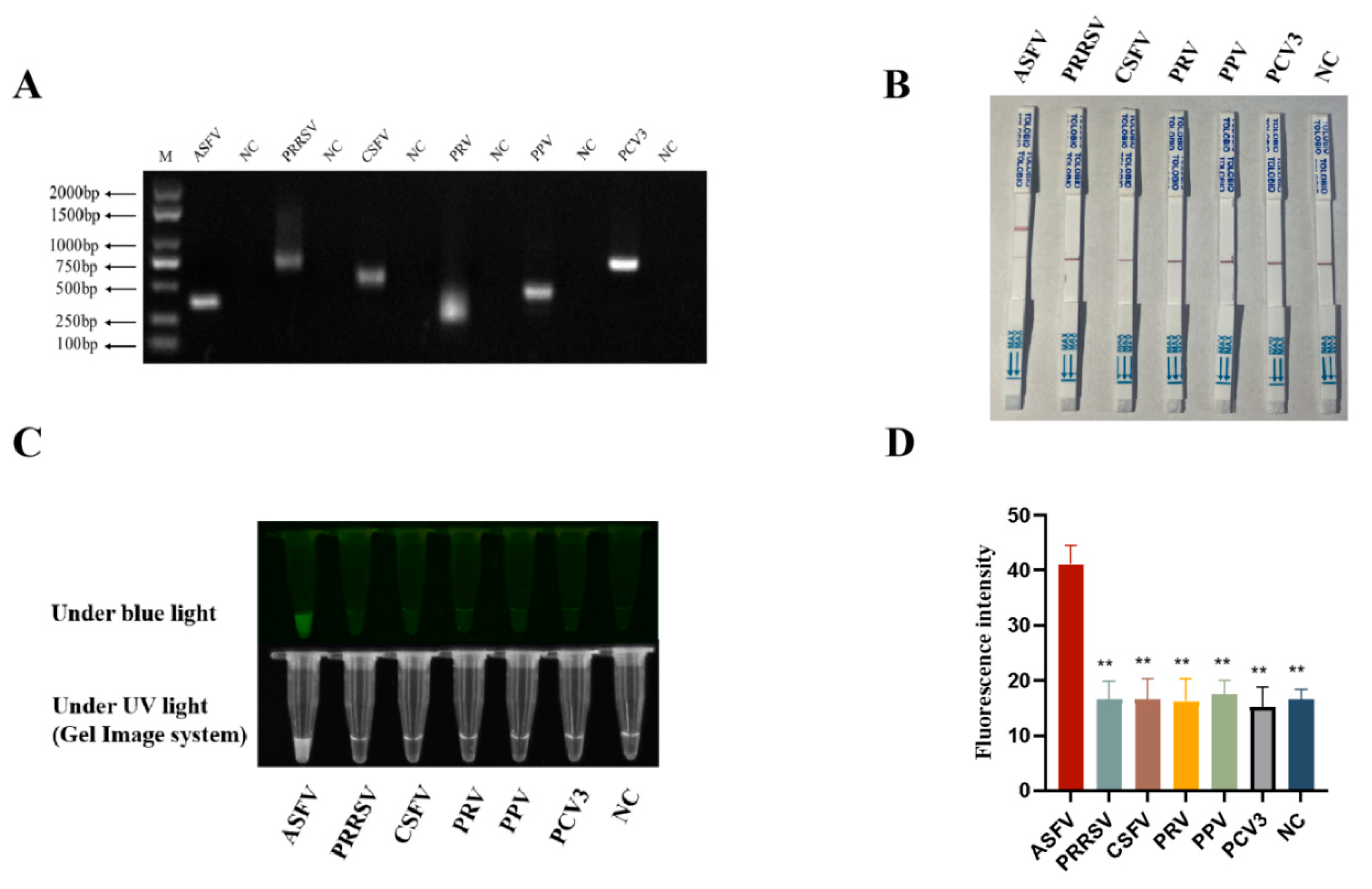 Preprints 178306 g005