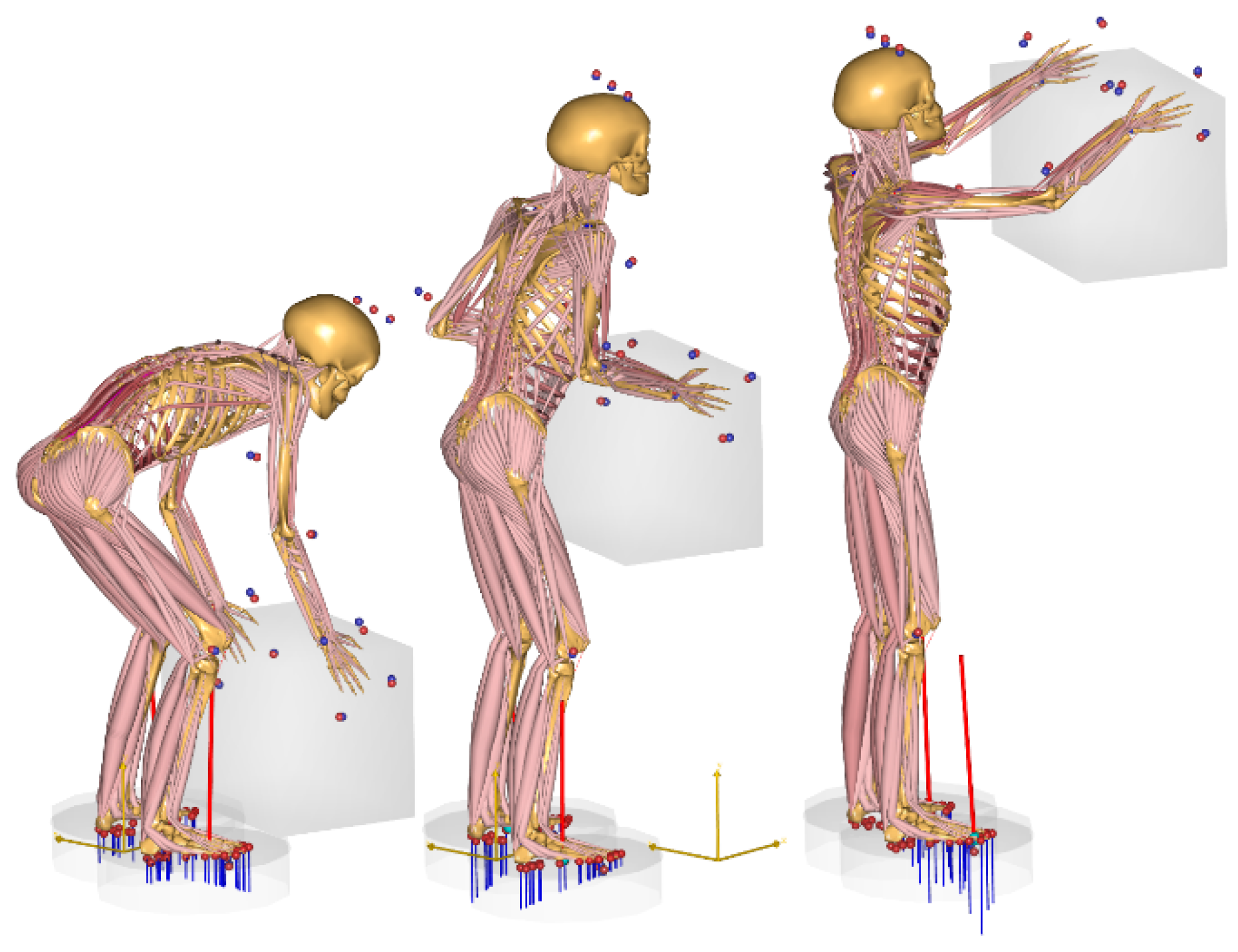 Preprints 153989 g001