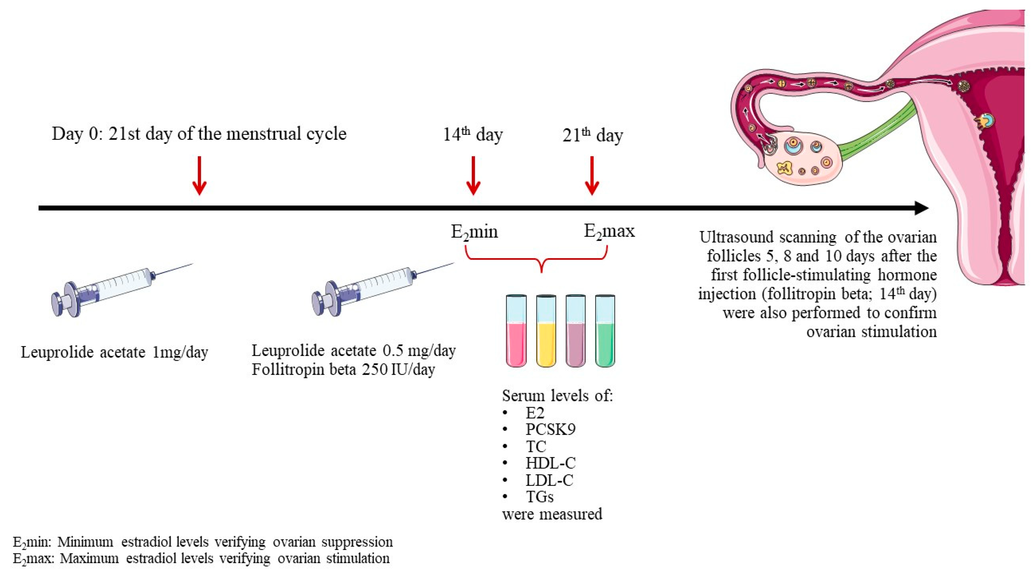 Preprints 83044 g001