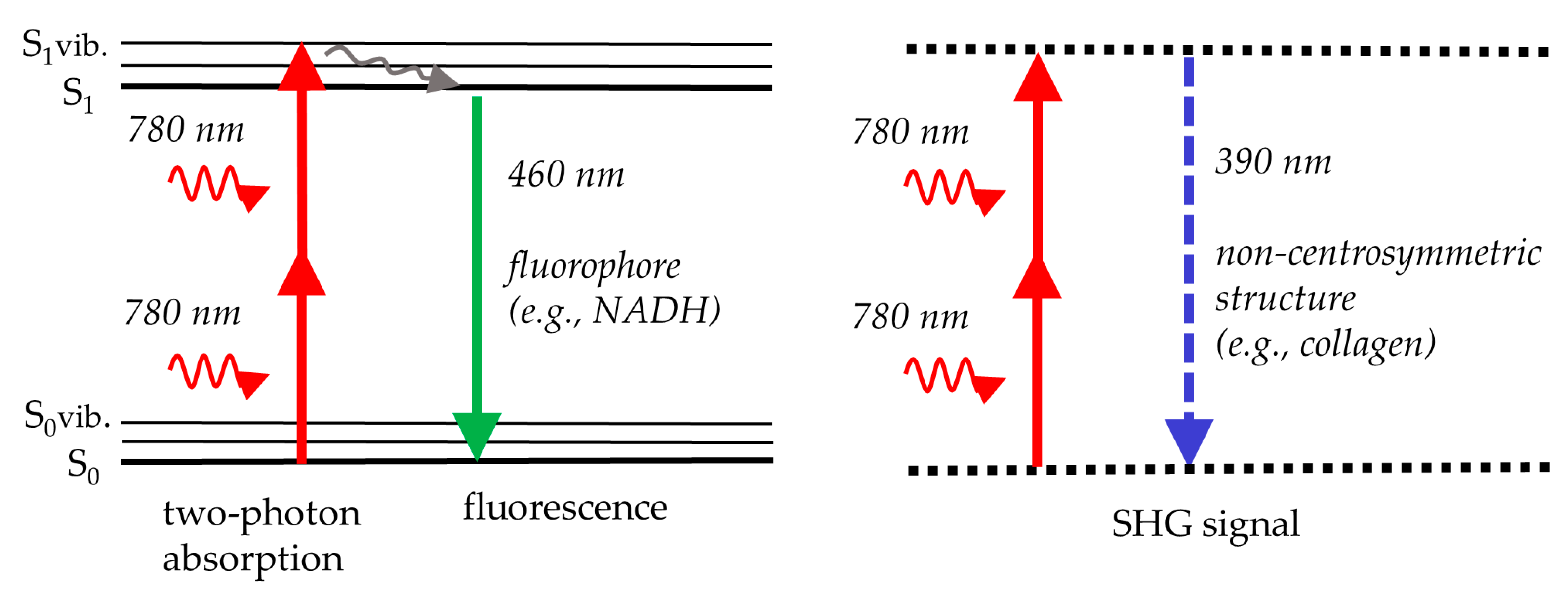 Preprints 144022 g001