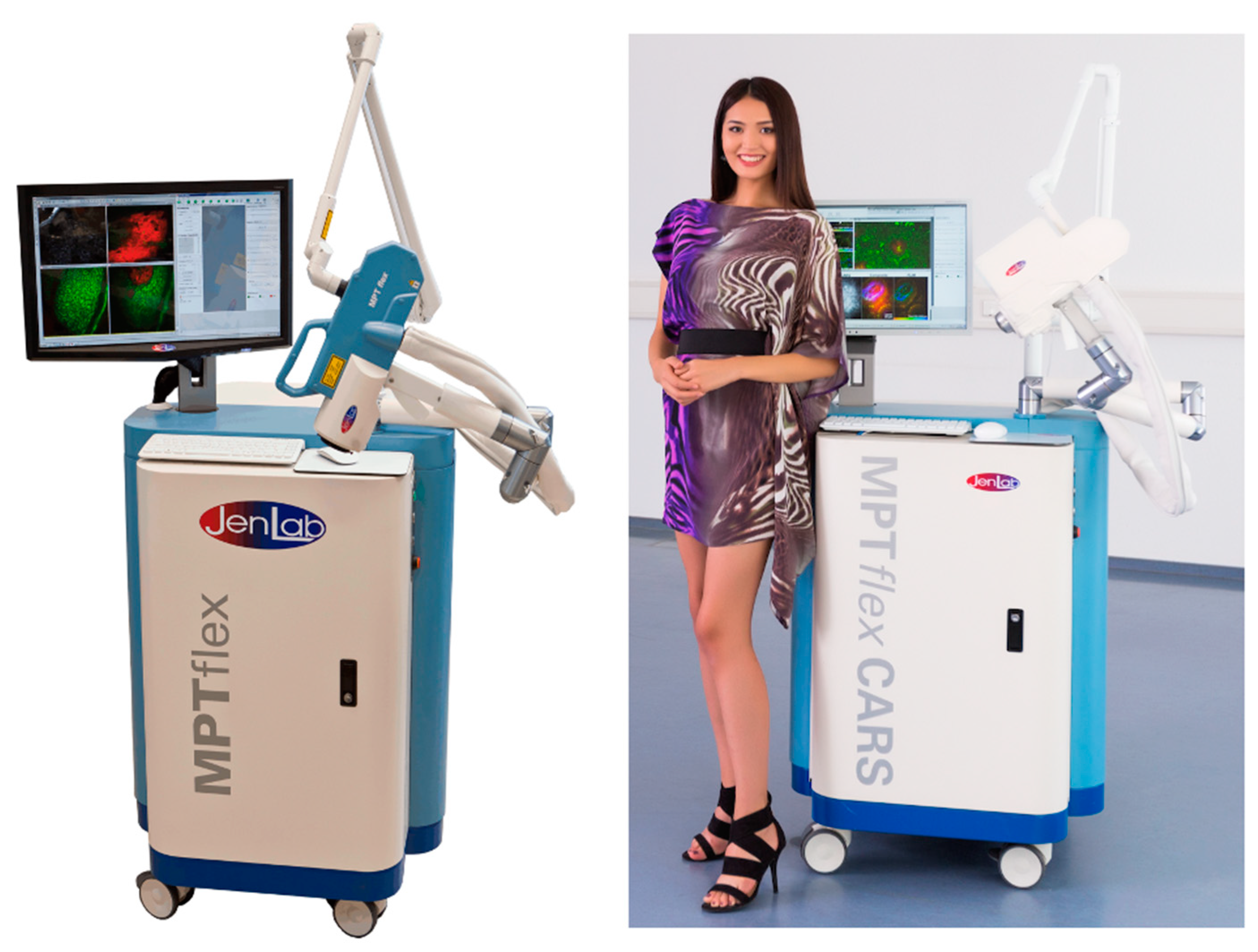 Preprints 144022 g005