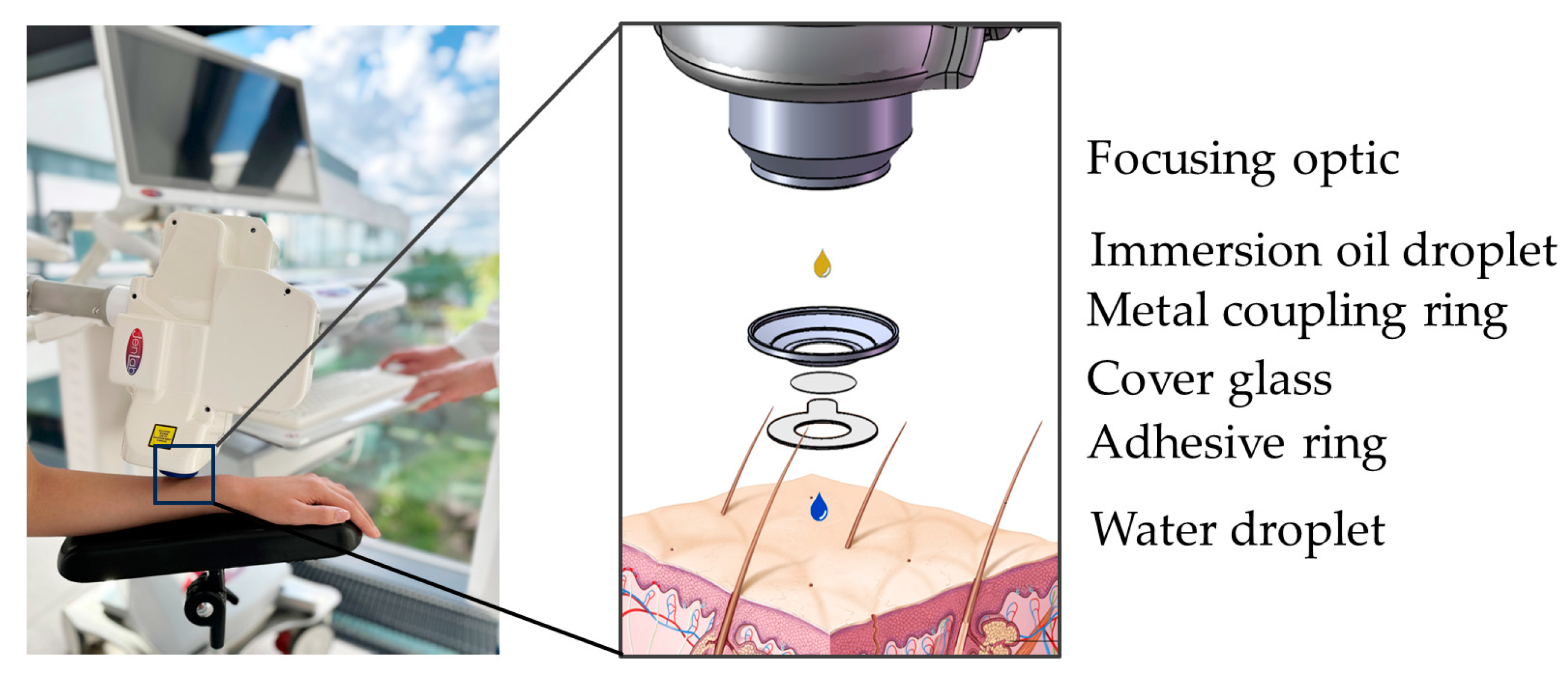 Preprints 144022 g007