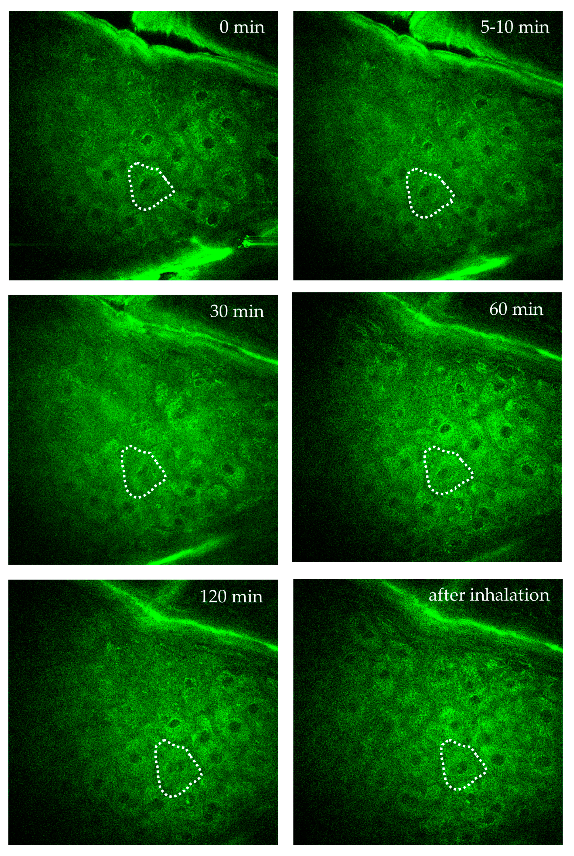 Preprints 144022 g010