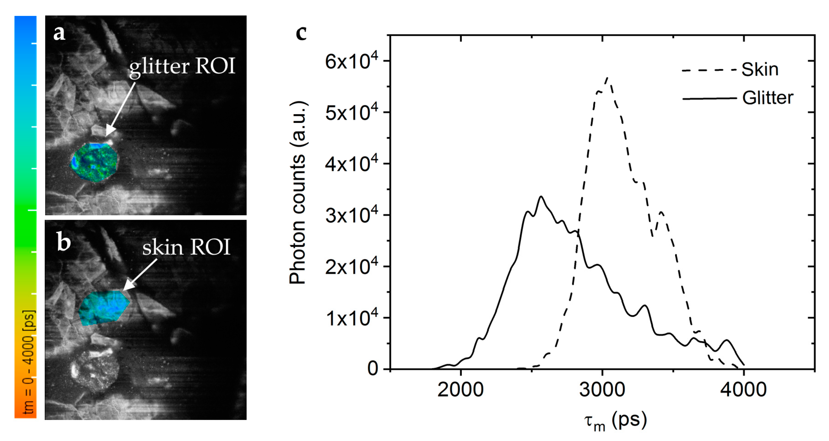 Preprints 144022 g012