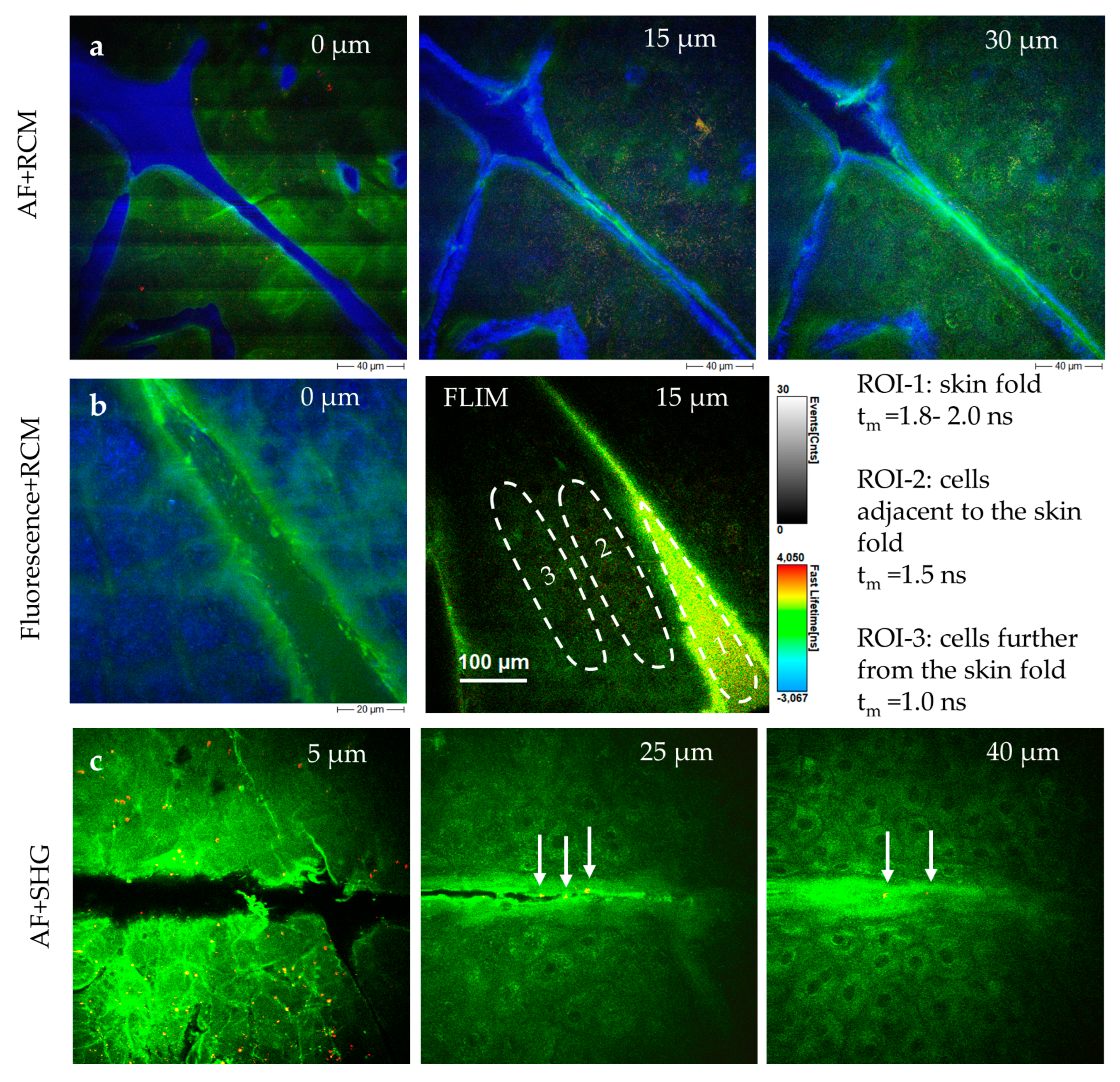 Preprints 144022 g013