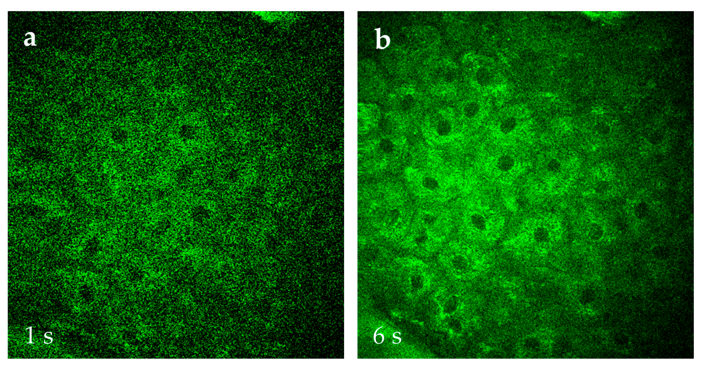 Preprints 144022 g014