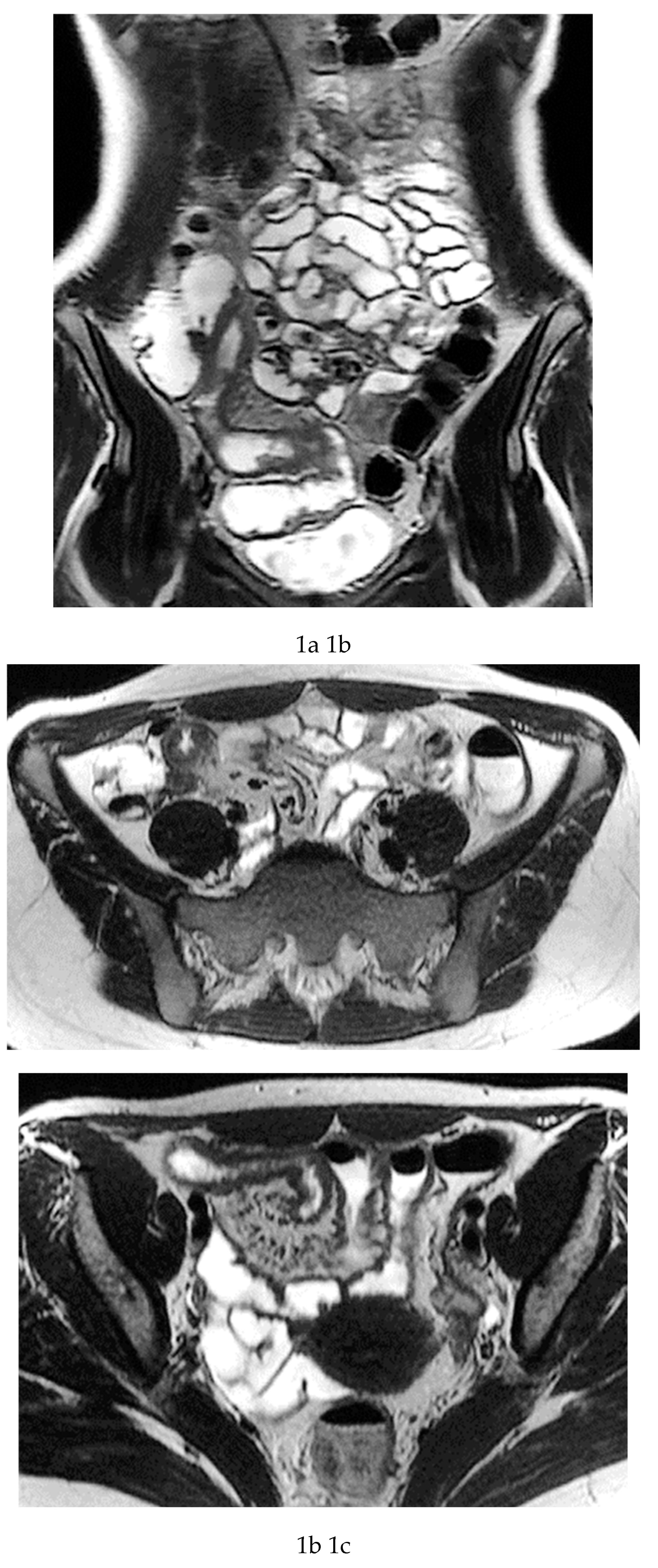 Preprints 193651 g001a