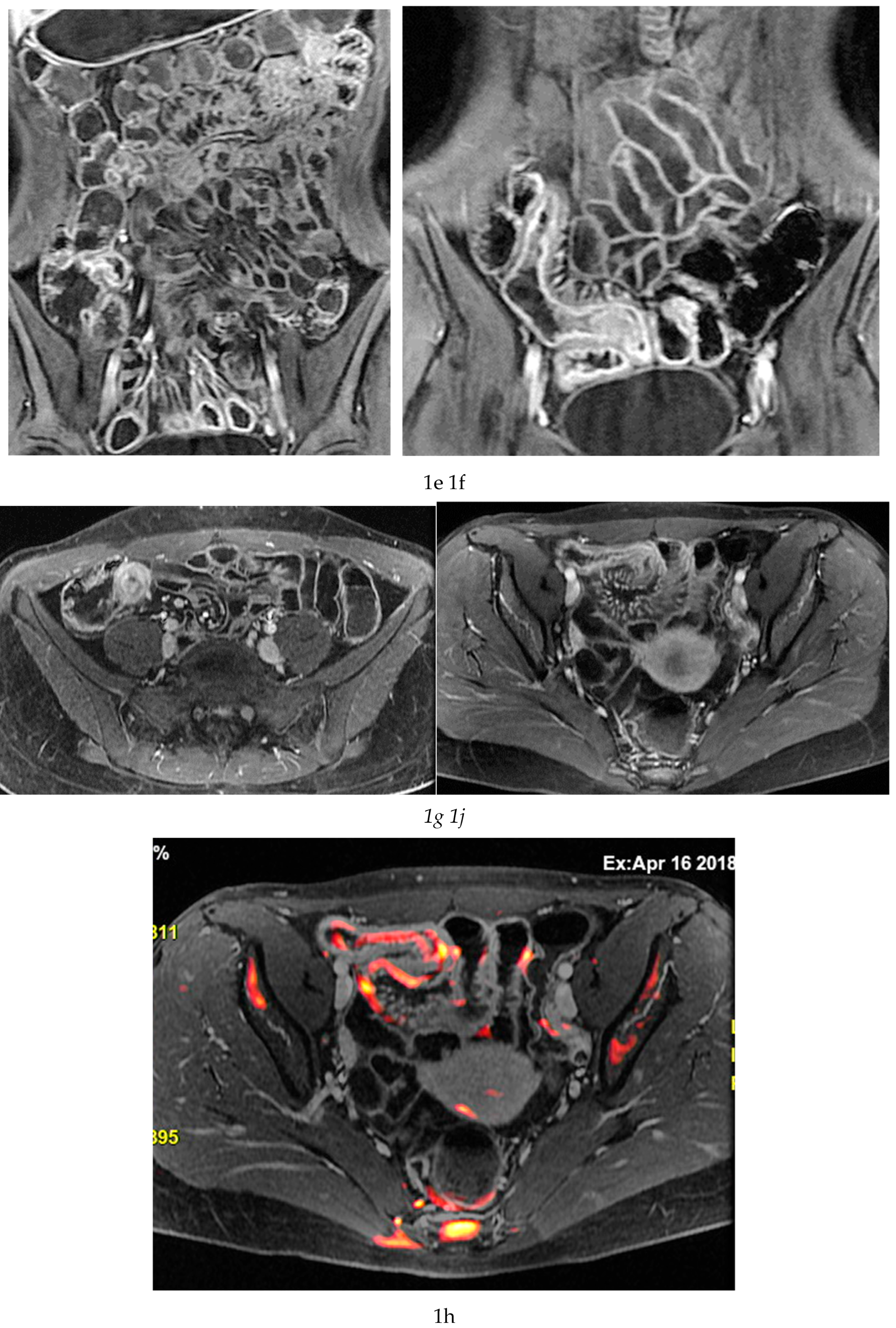 Preprints 193651 g001b