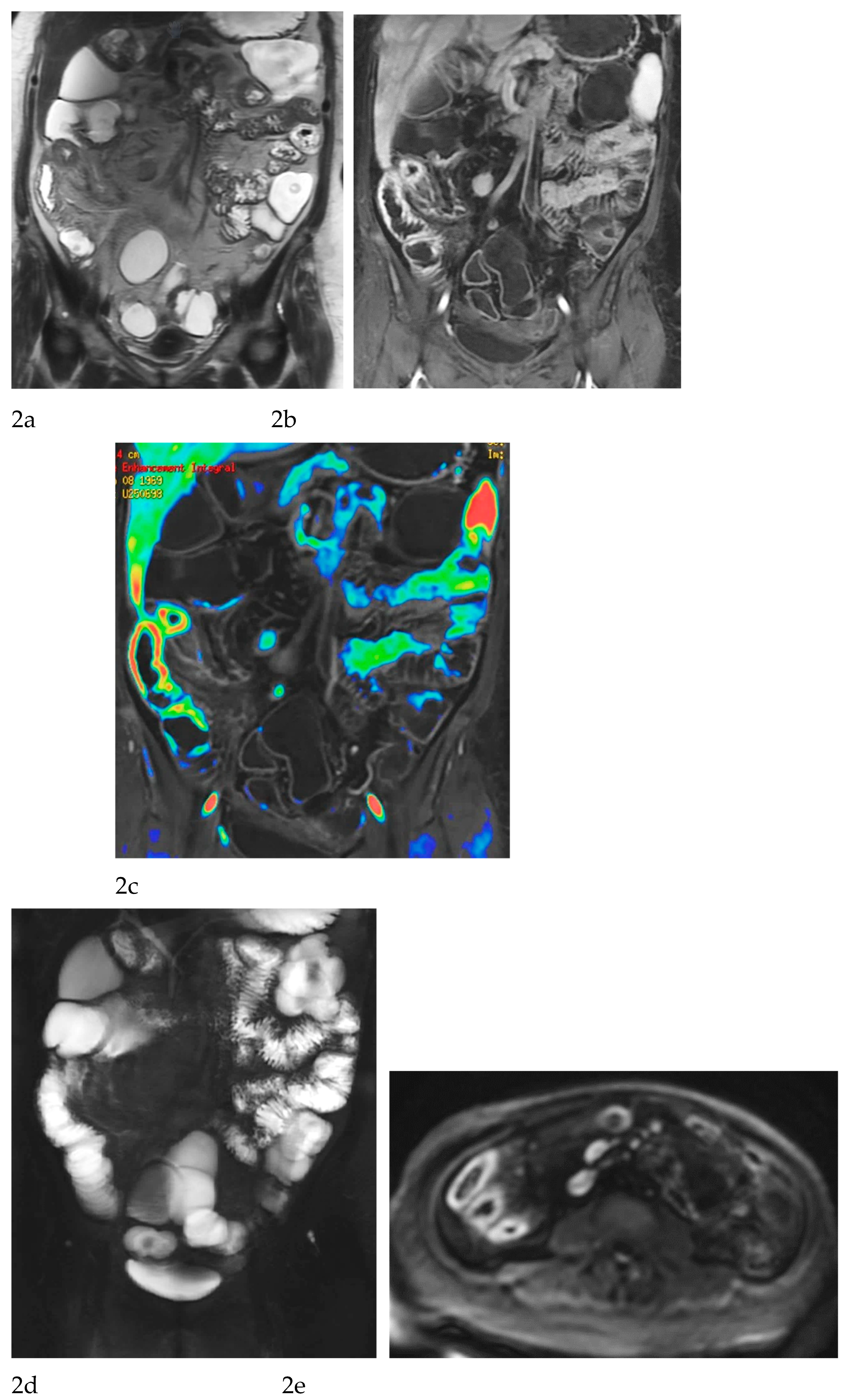 Preprints 193651 g002