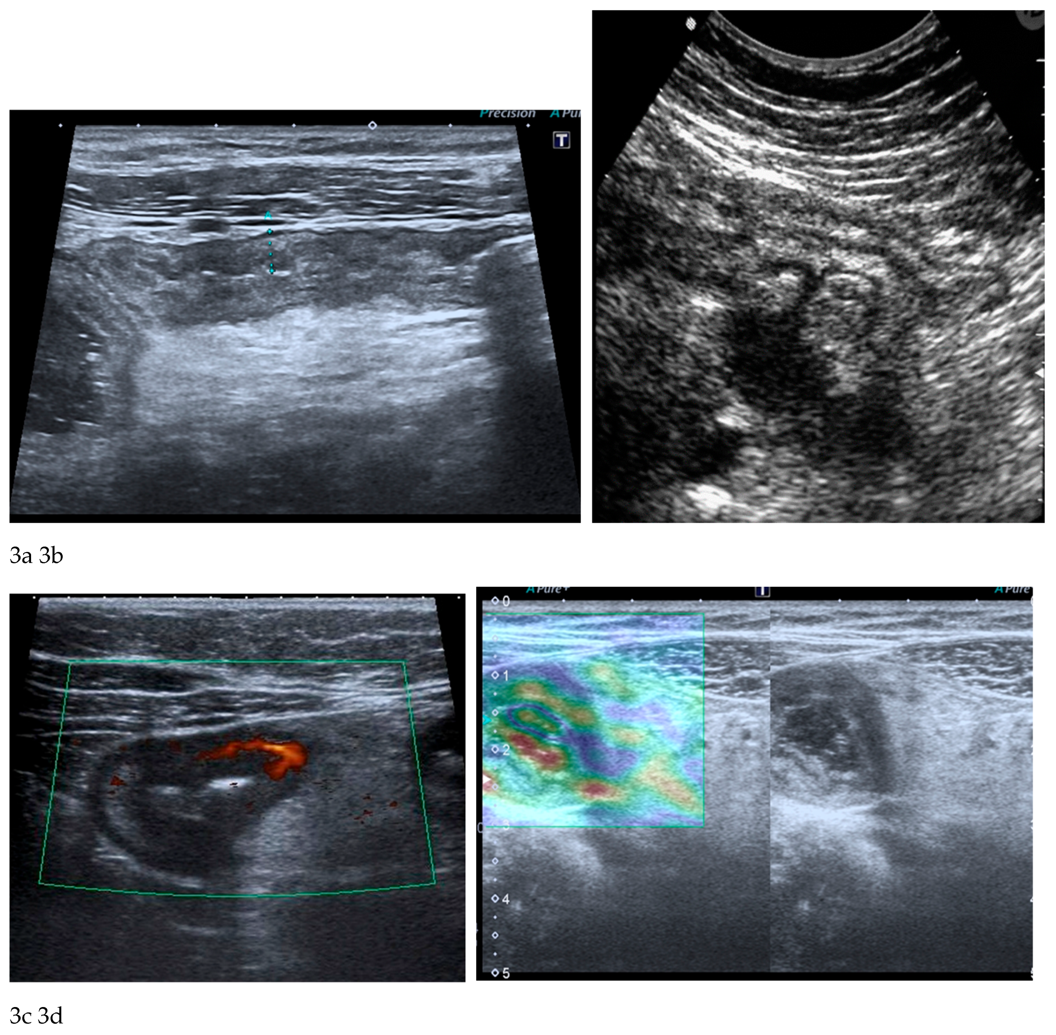 Preprints 193651 g003