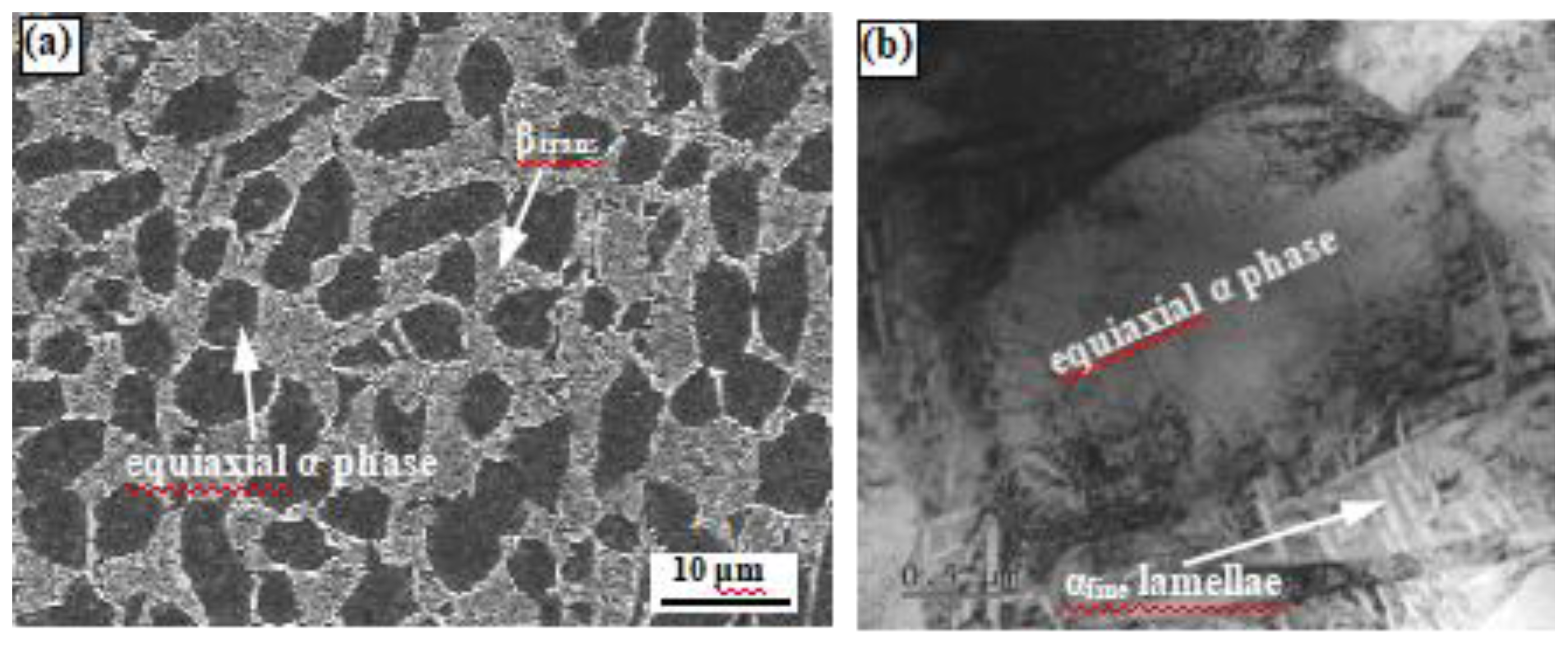 Preprints 138891 g001