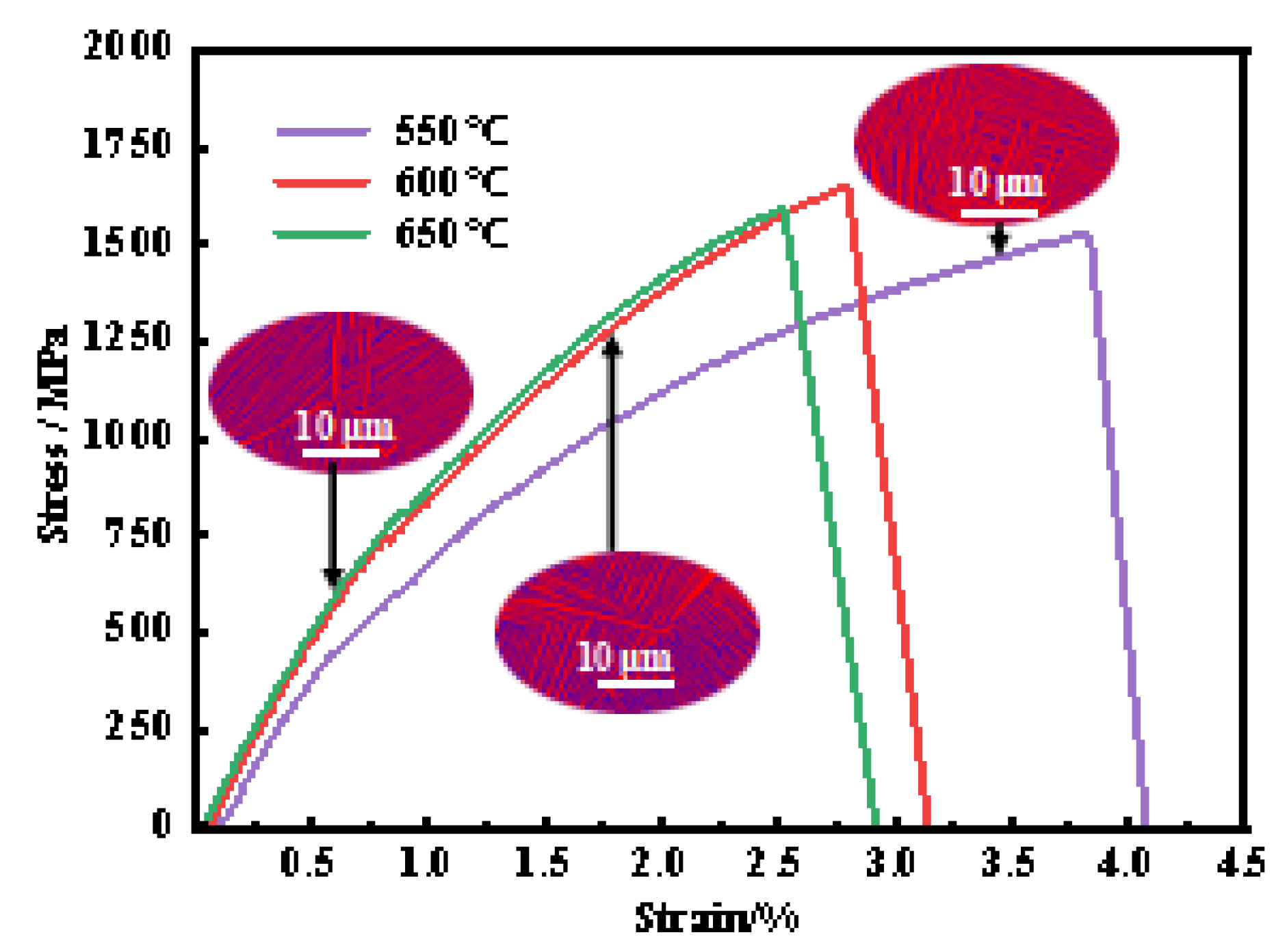 Preprints 138891 g005