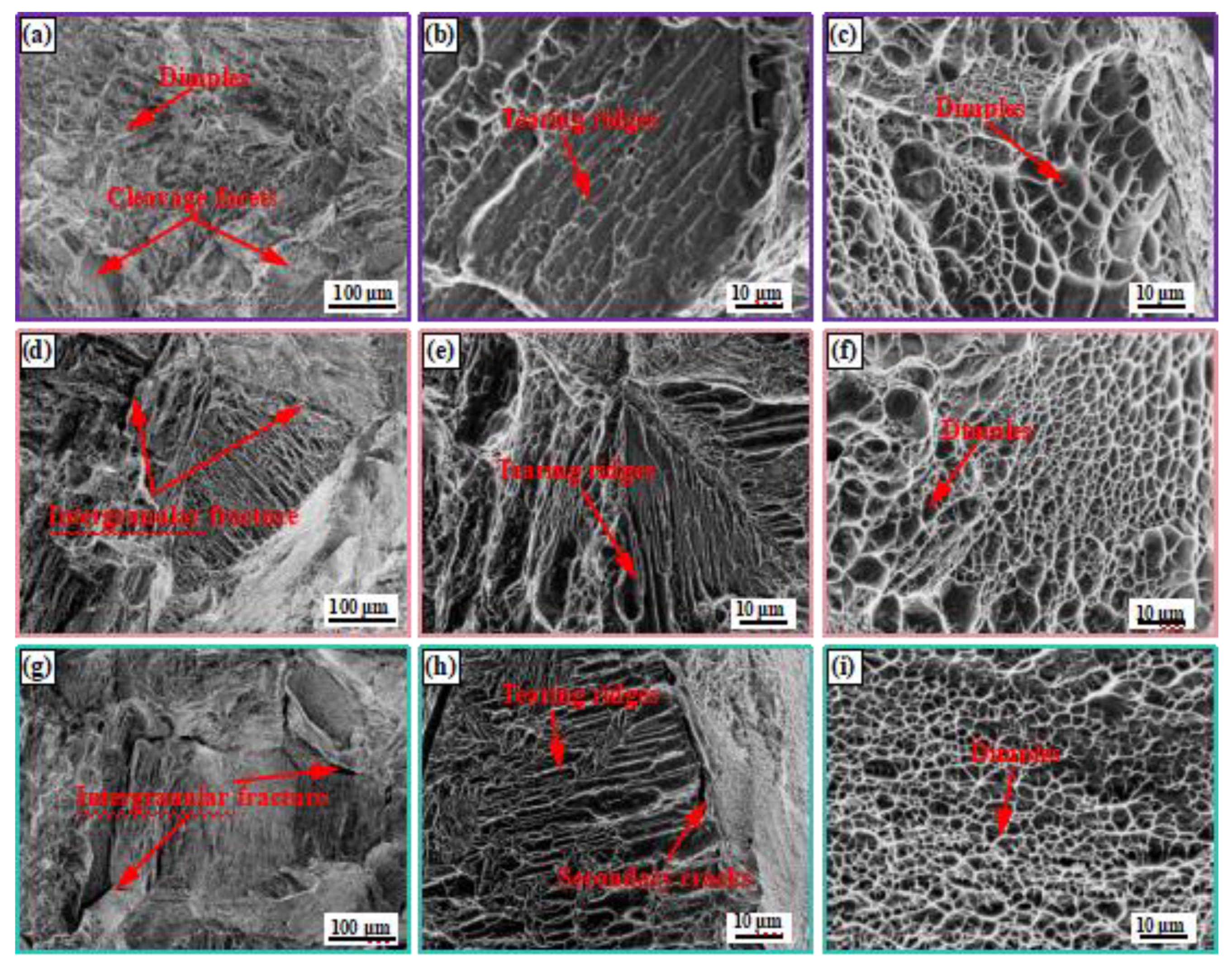 Preprints 138891 g006
