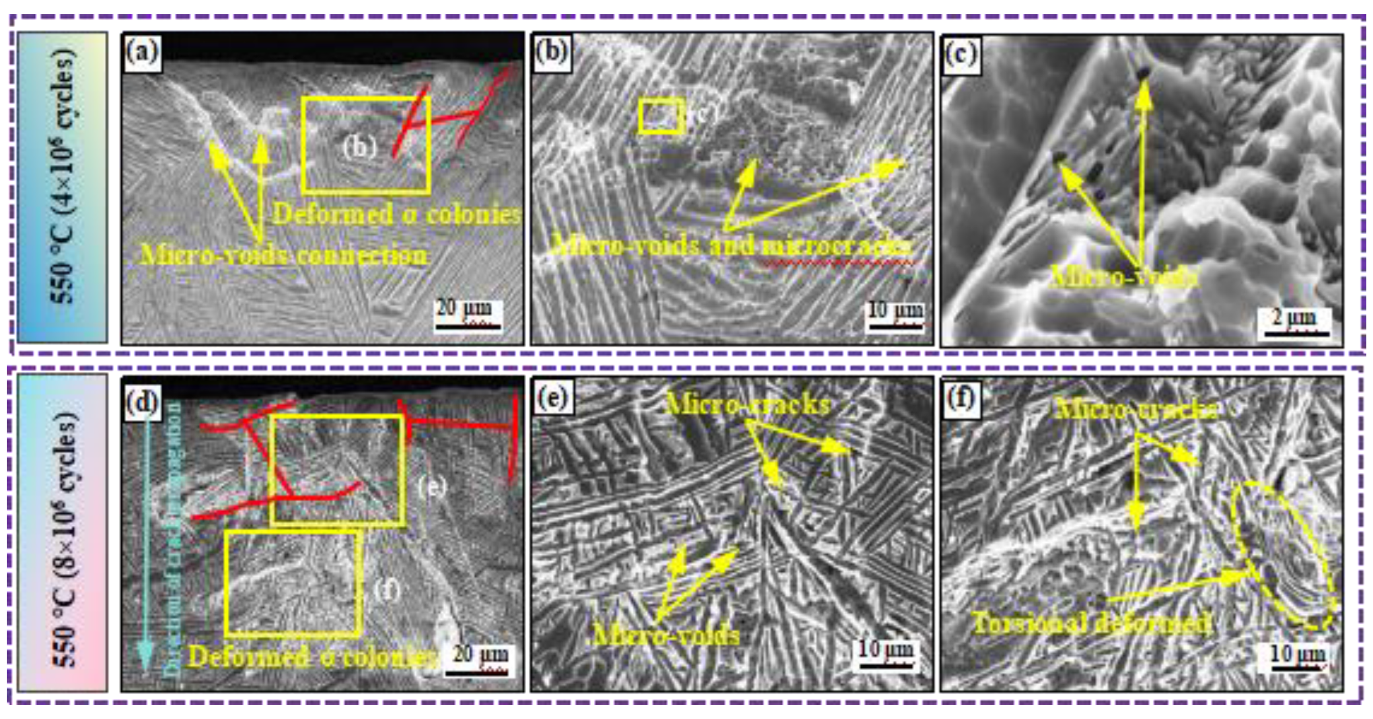 Preprints 138891 g007