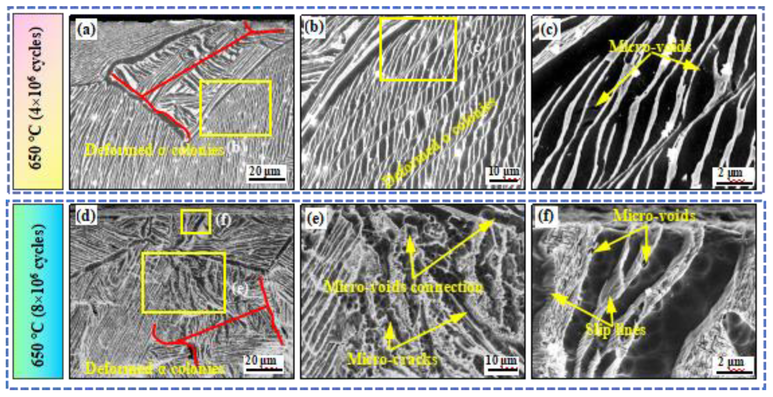 Preprints 138891 g009