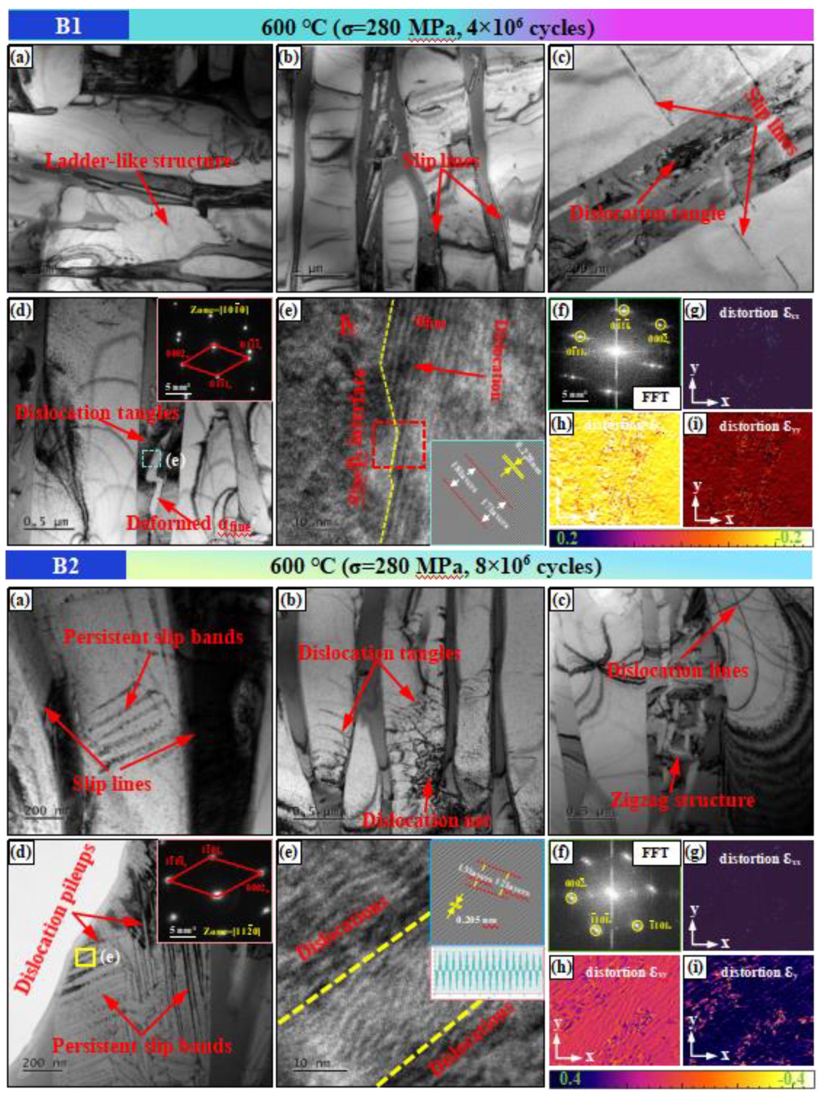 Preprints 138891 g011