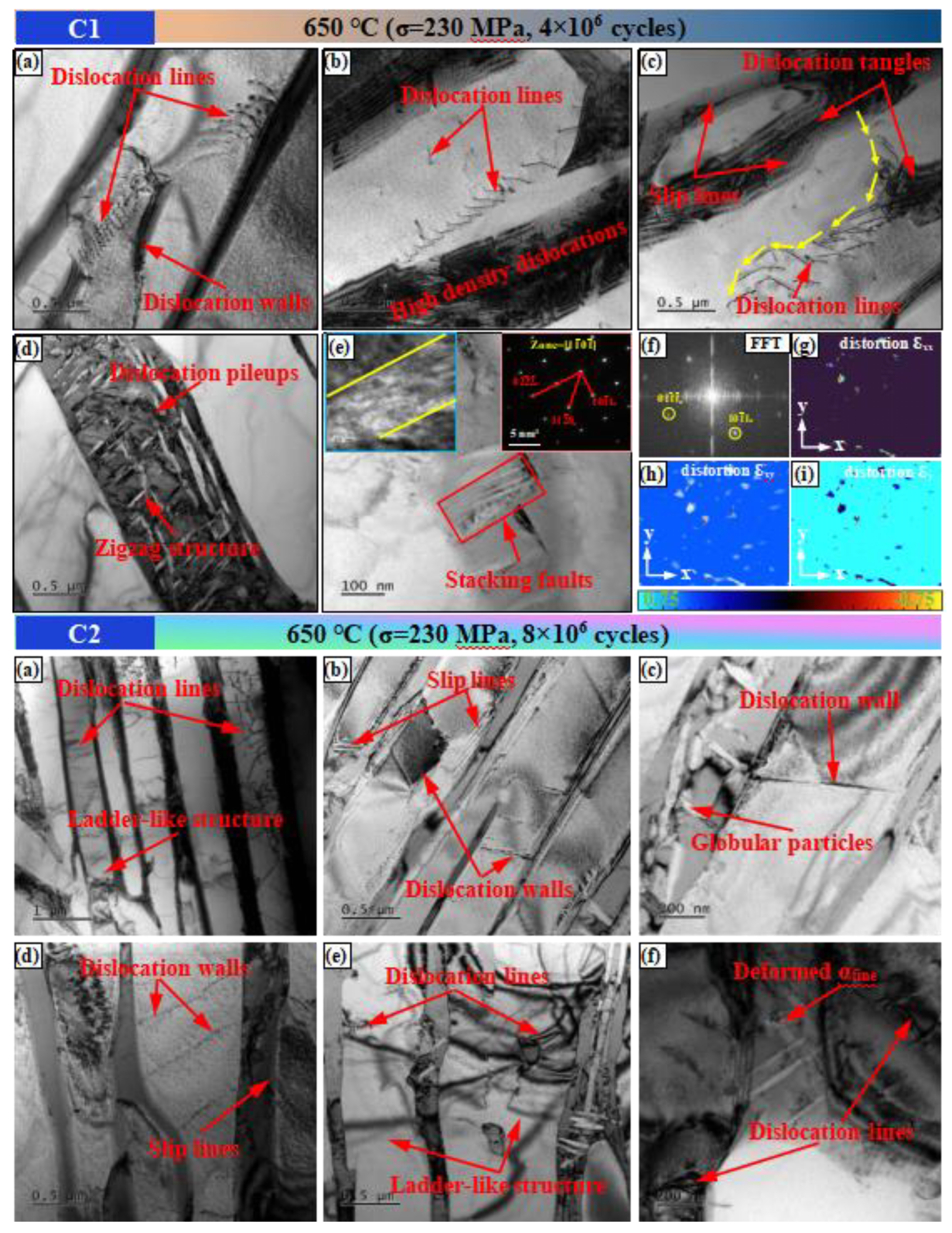 Preprints 138891 g012